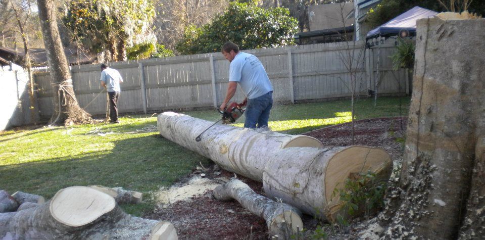  for Fast Cut Tree Service in Jacksonville Heights, FL