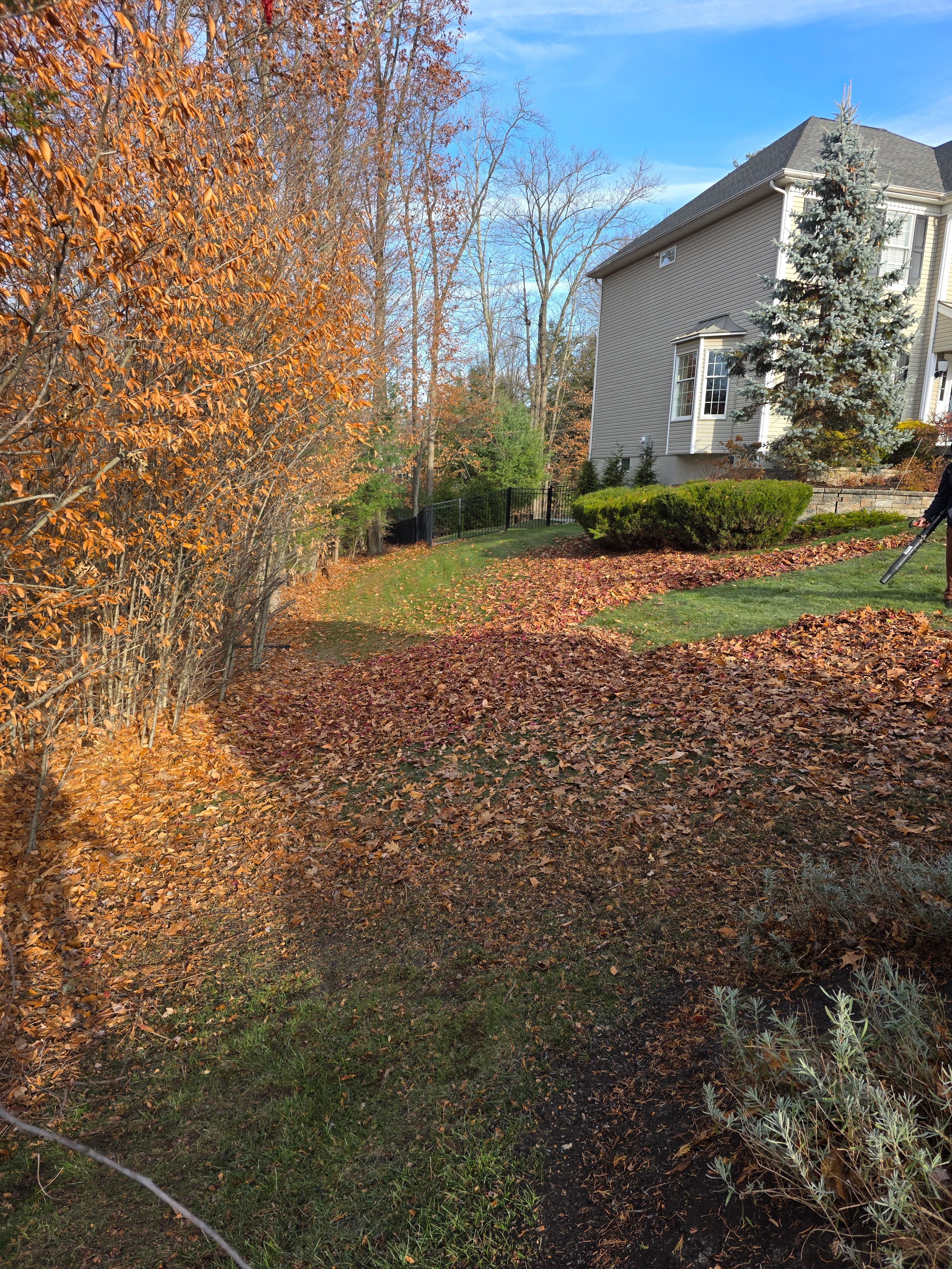  for Sweet Scapes in Ballston Spa, NY