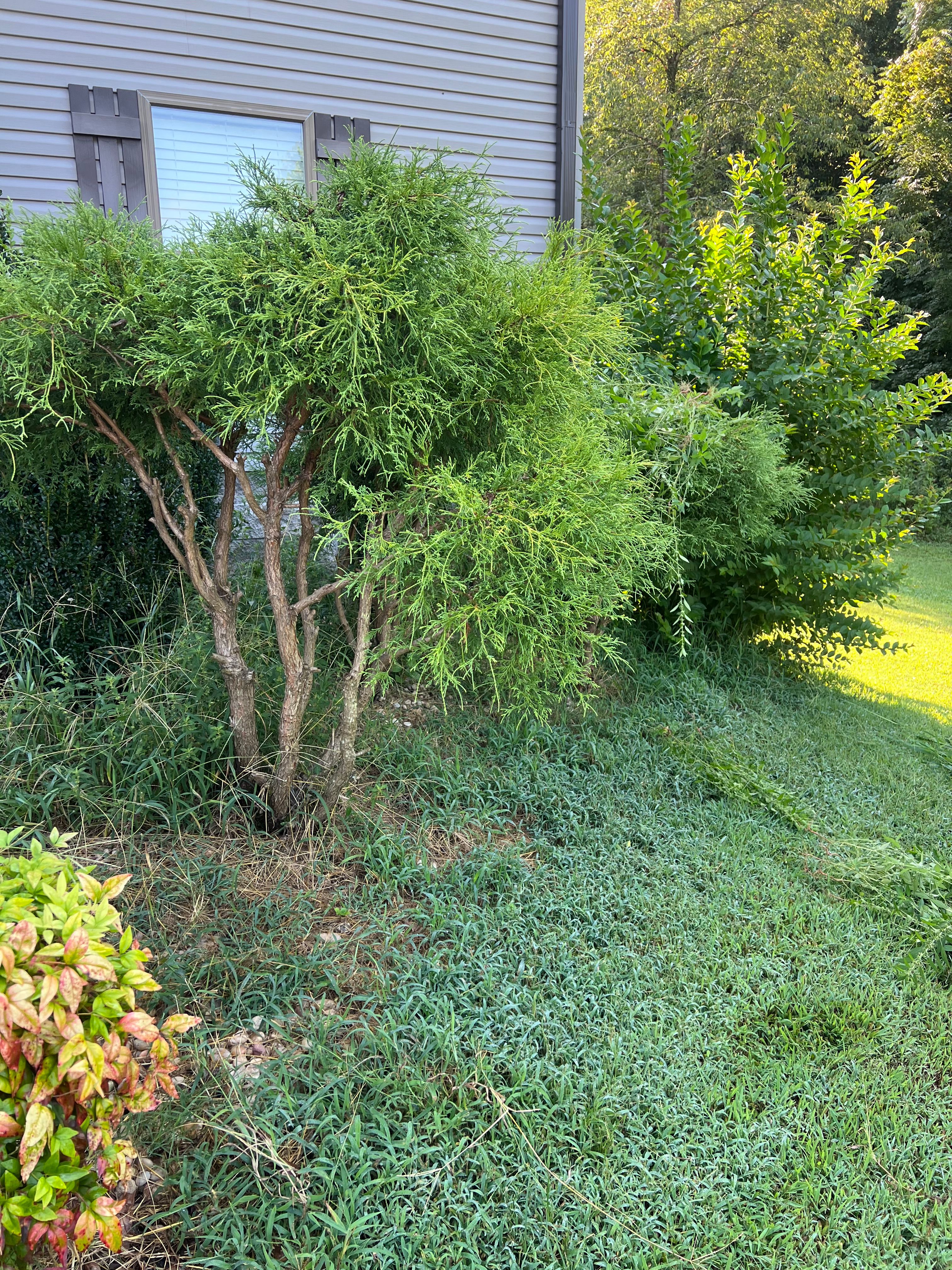 for Fescue 911 in Ashland City, TN