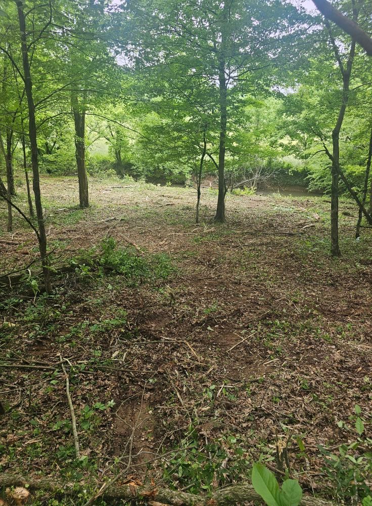 Excavating for Whaley Land Development in Athens, TN