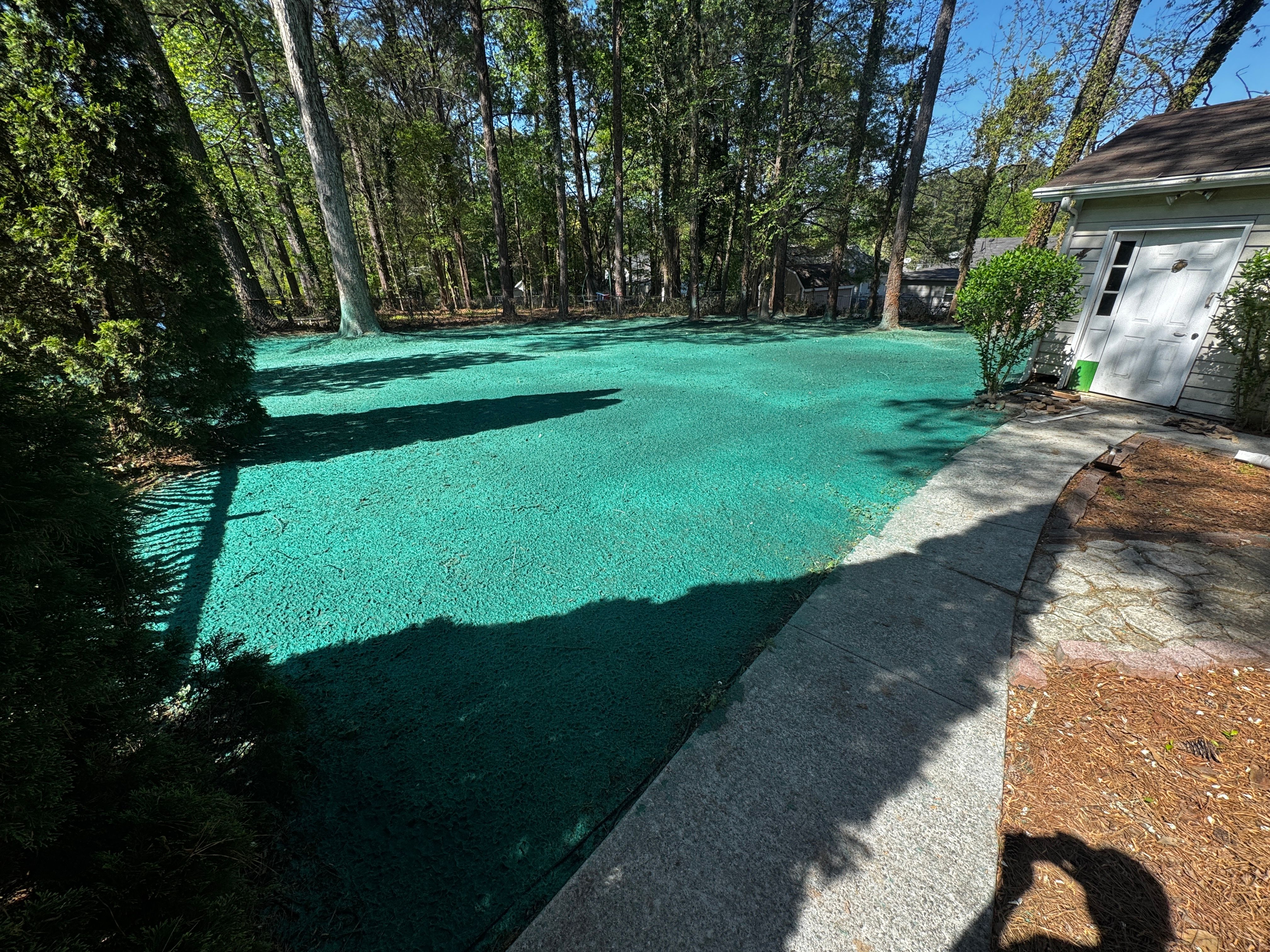 All Photos for Deeply Rooted Lawns – Hydroseeding & Sod Installation Services in Winder, GA