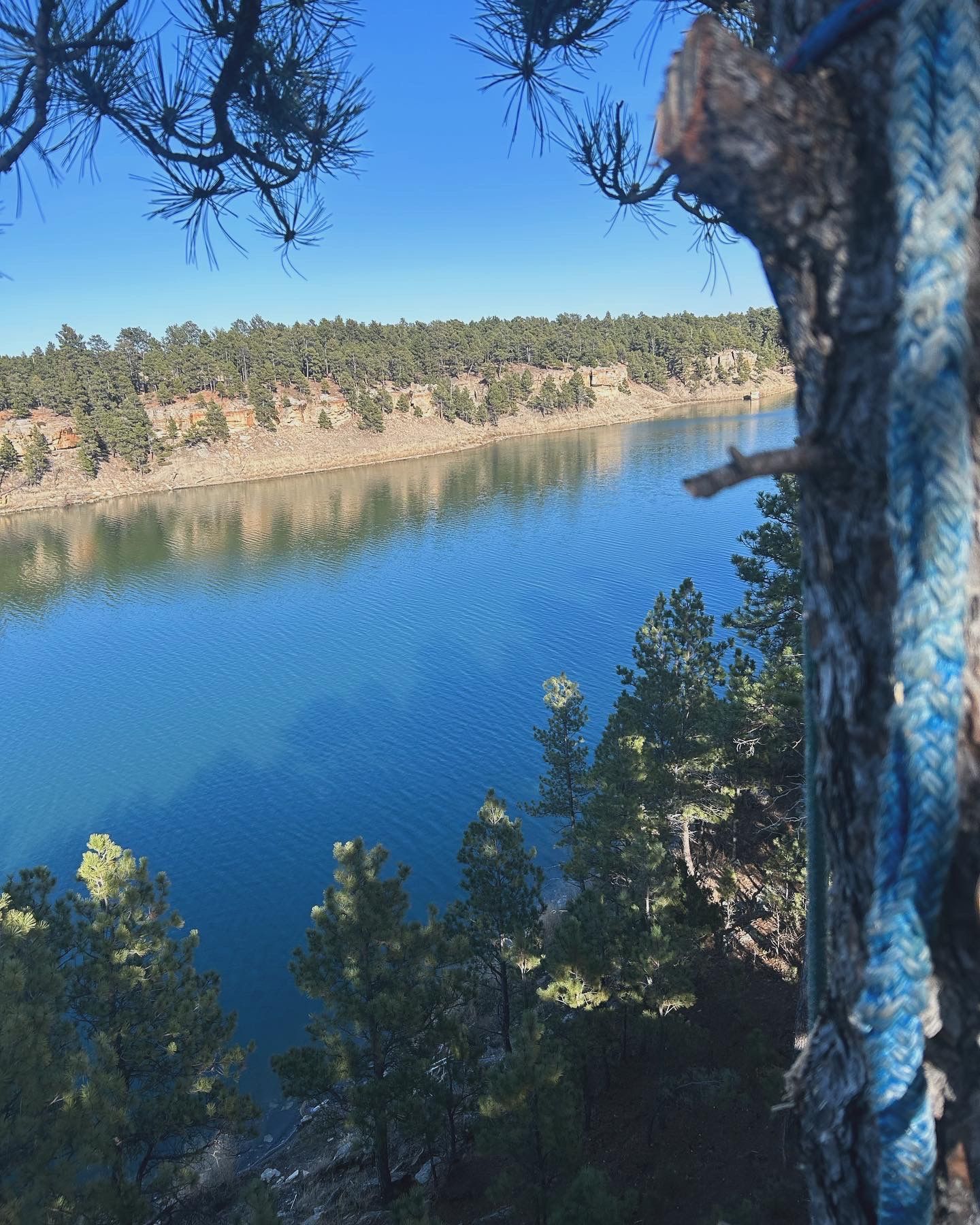  for Elevated Tree Care in Gillette, WY