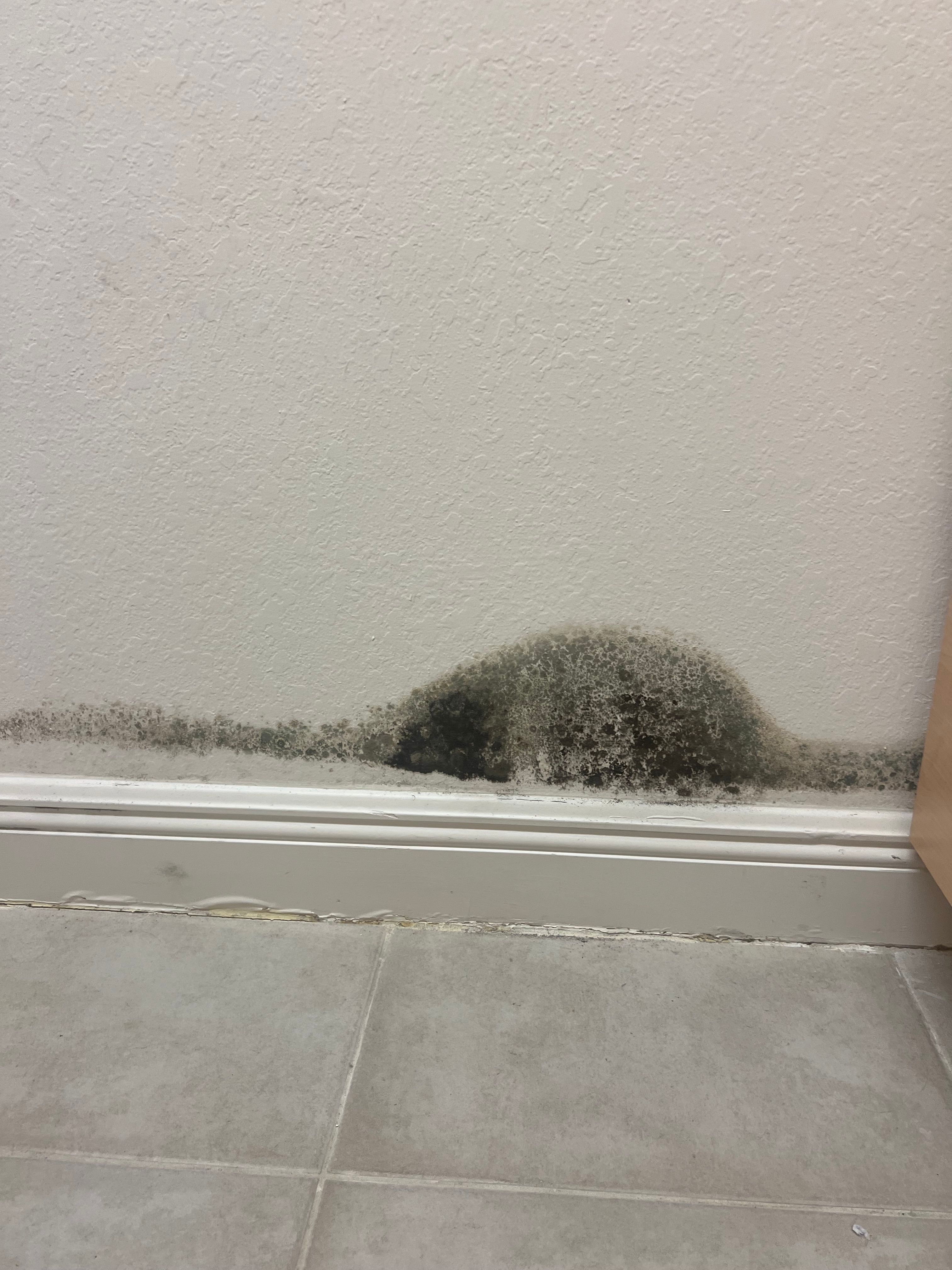  for N&D Restoration Services When Disaster Strikes, We Come In in Cape Coral,  FL