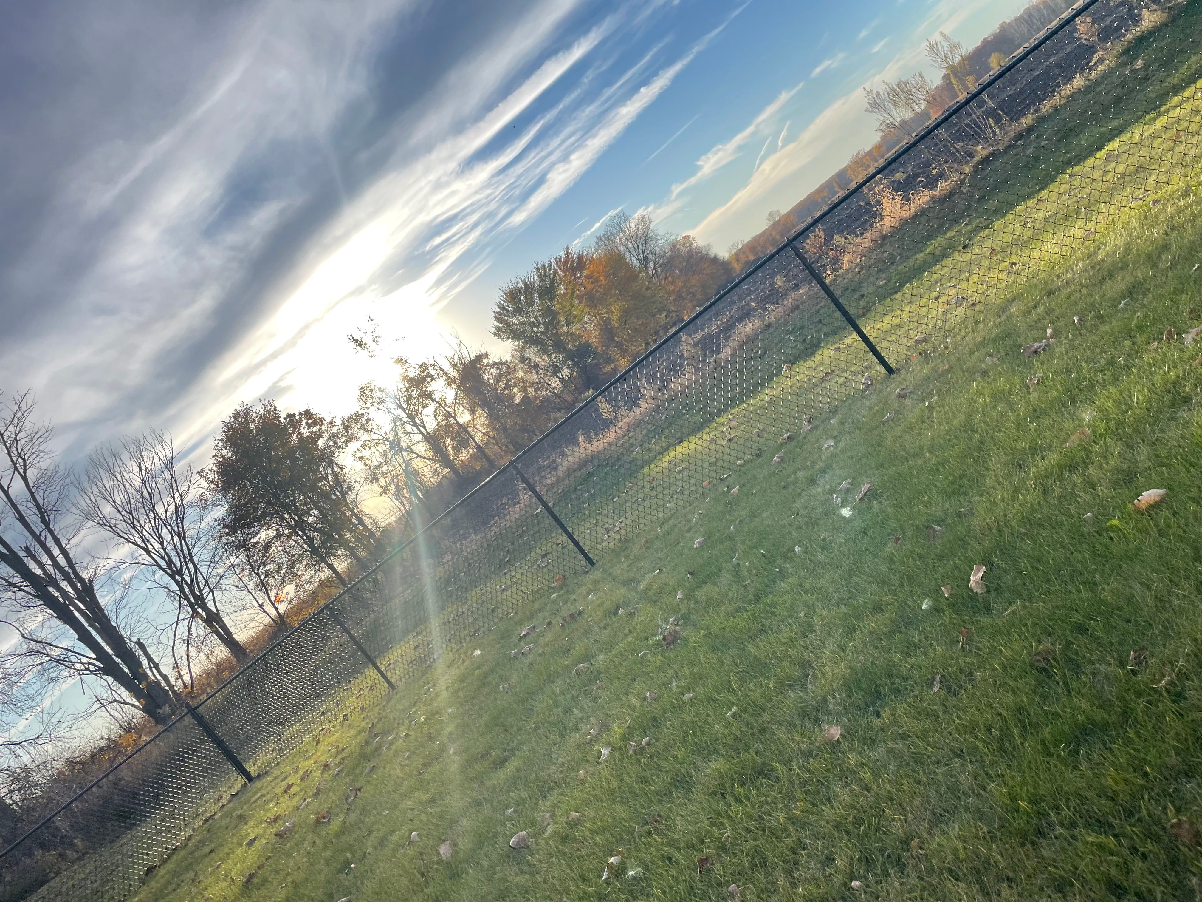  for TMF Services in Lapeer County, MI