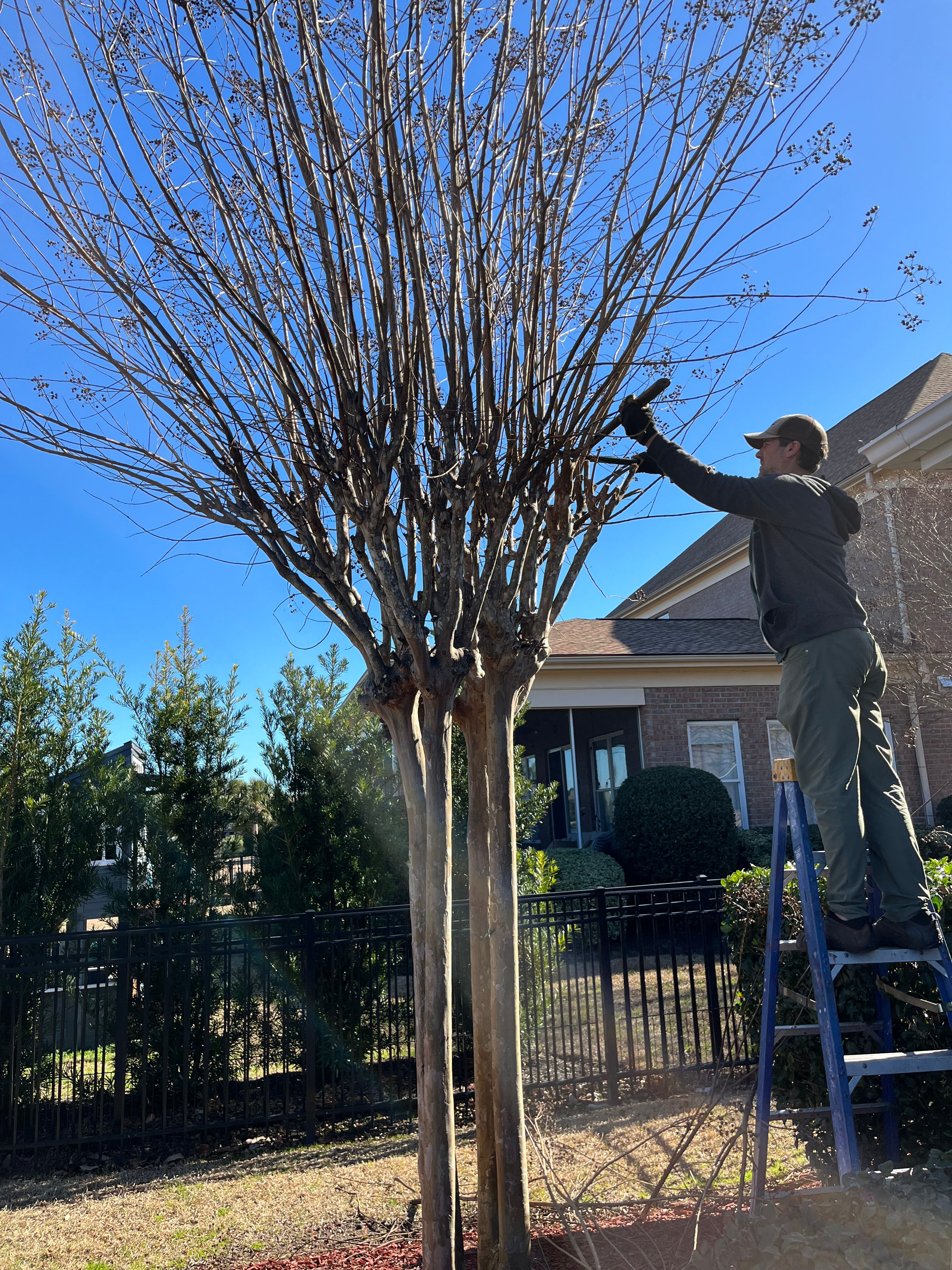  for New Creation Landscaping in Myrtle Beach, SC