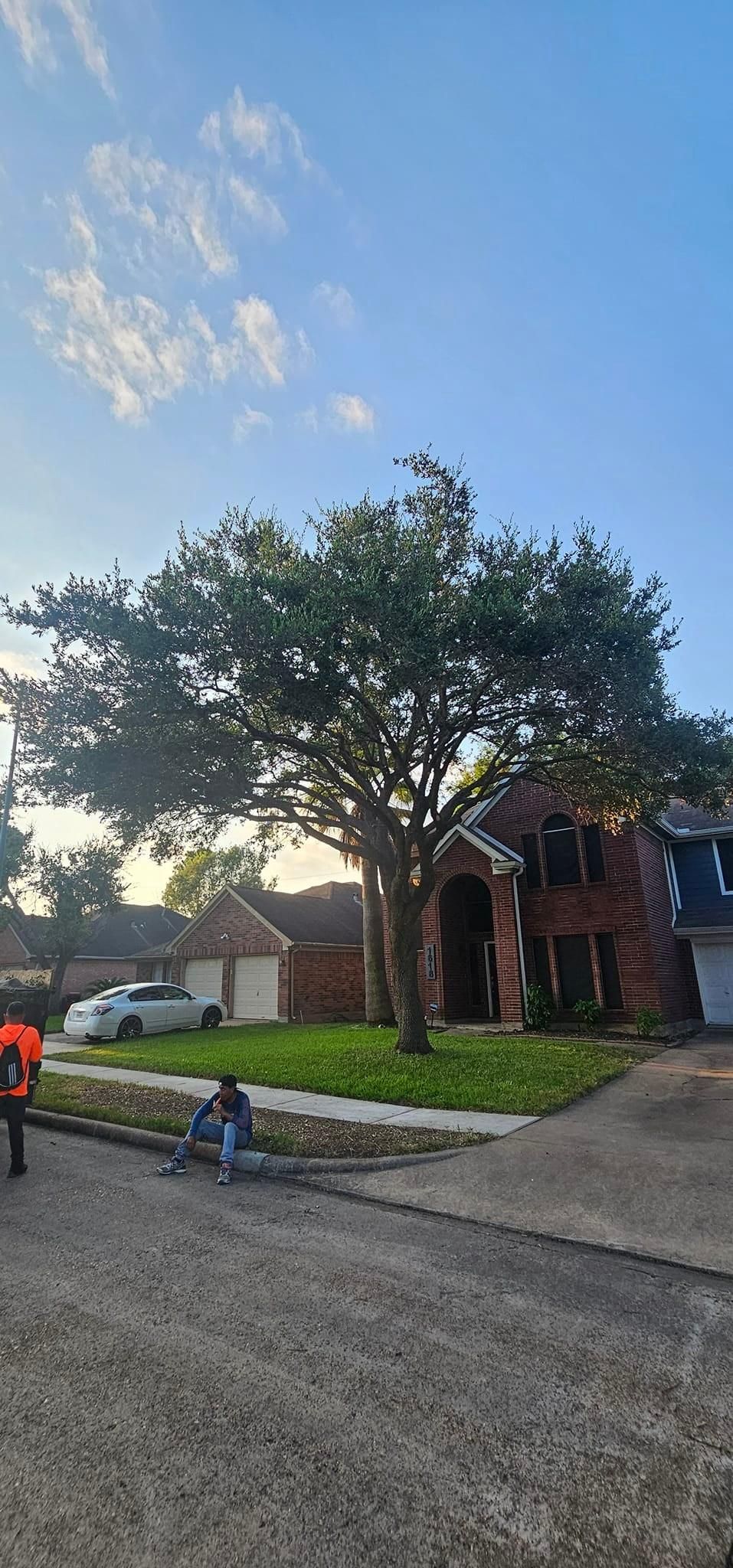  for Servin's Tree Care  in Houston, TX