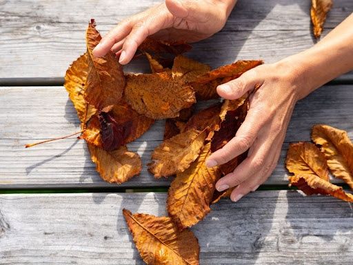  for Lone Wolf Custom Decks in Monument, CO