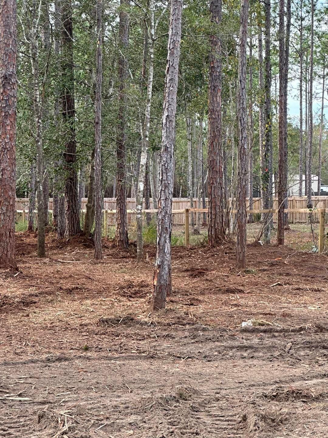 All Photos for White’s Land Maintenance in Milton,, FL