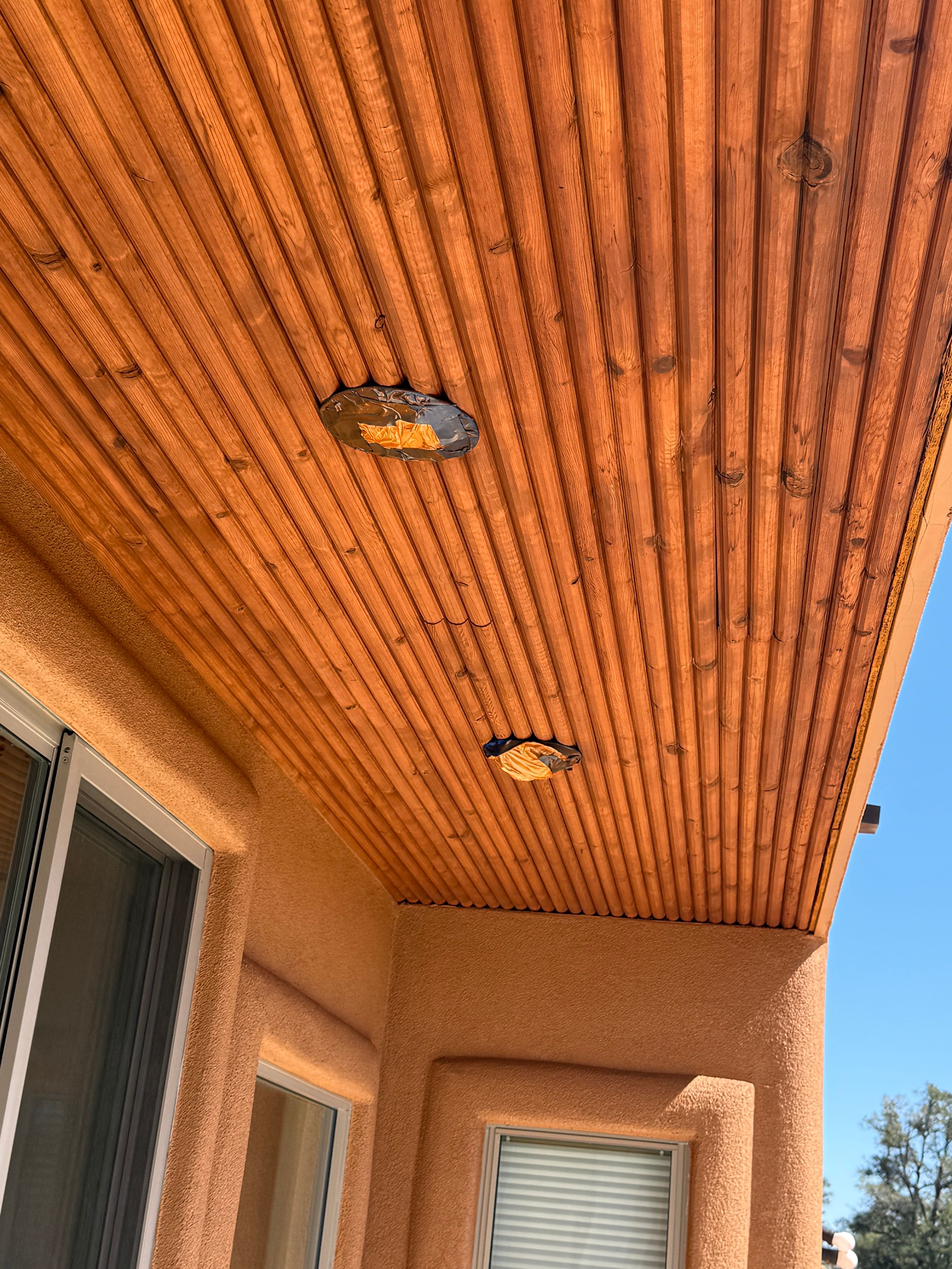  for True Vision Painting in Prescott Valley, AZ
