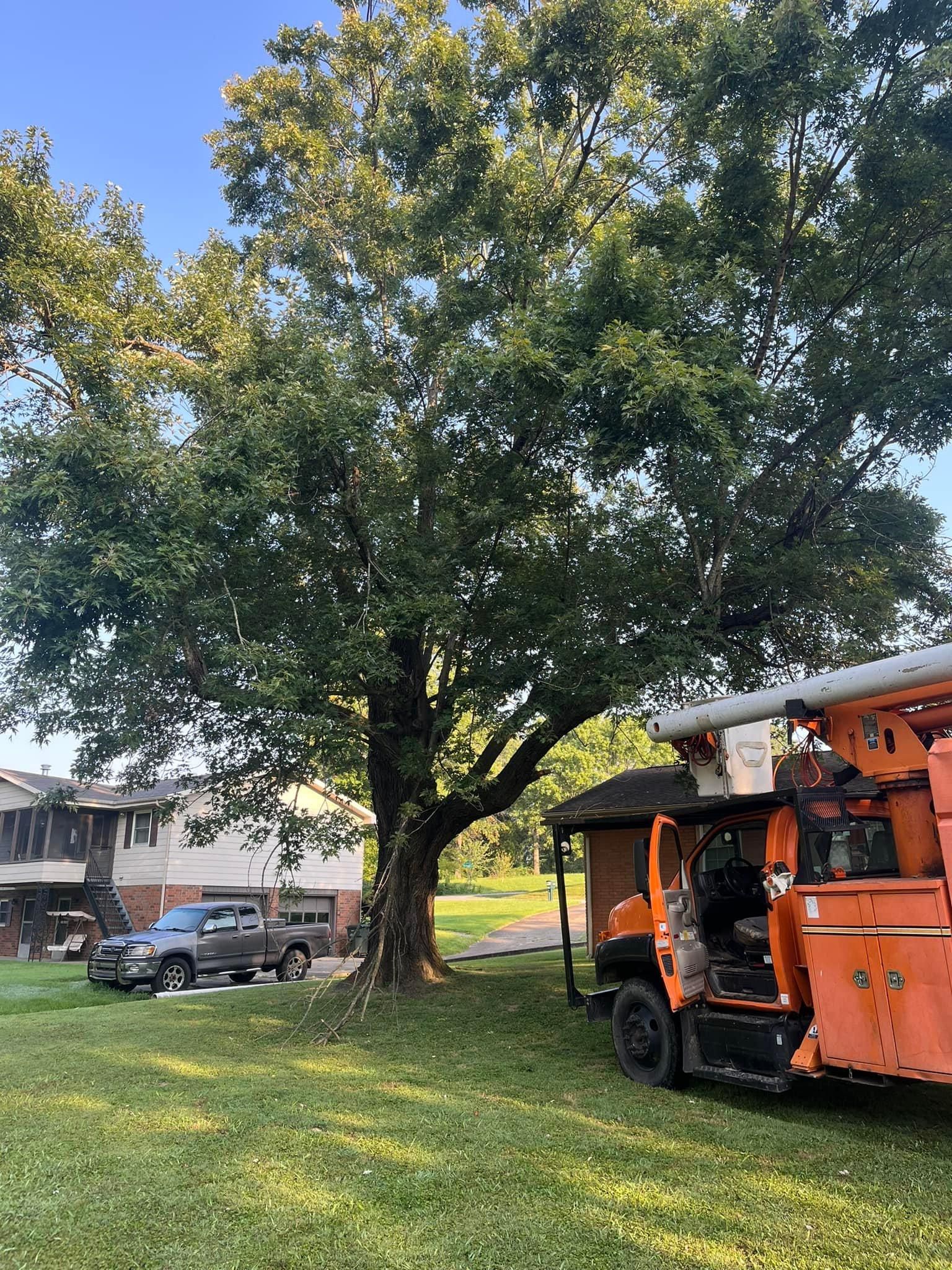  for Curtis Tree Service LLC in Hopkins County, KY