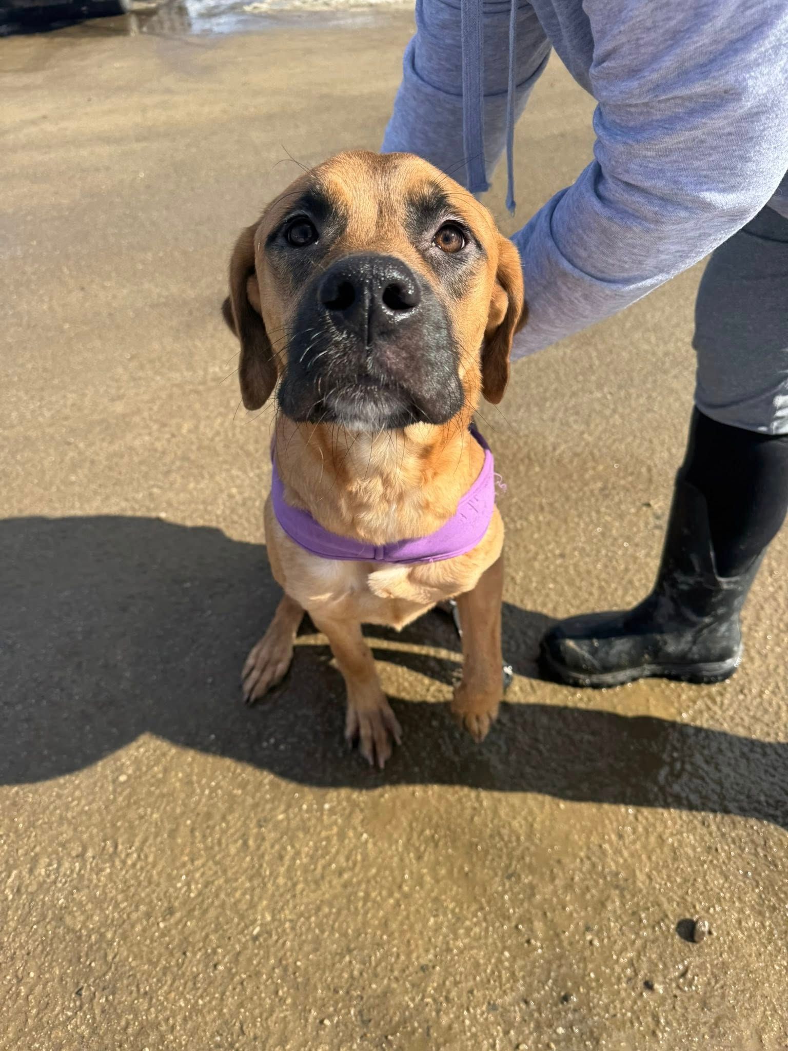  for Sullivan Sanctuary of Maine in Brunswick, ME