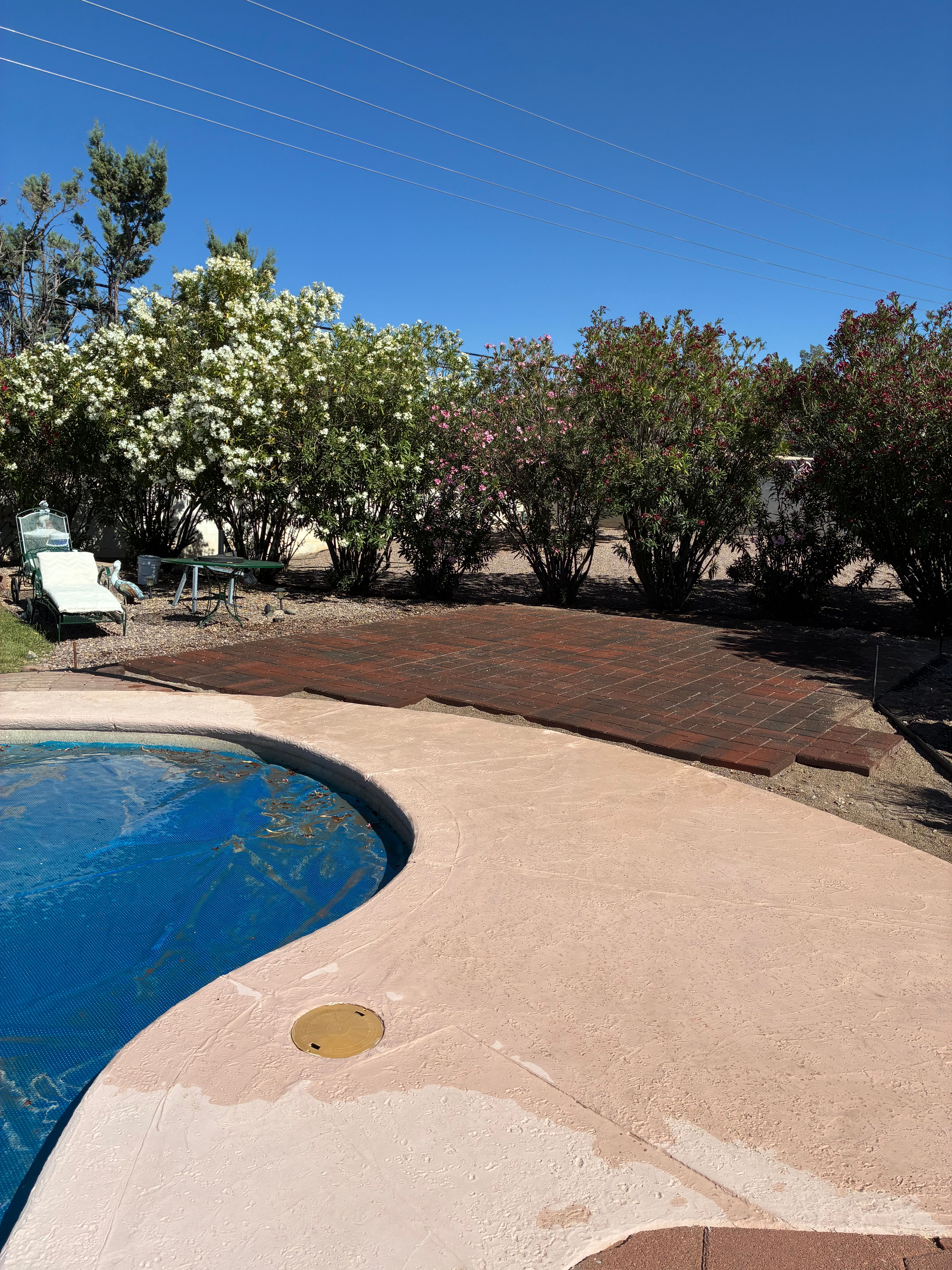  for Borquez Desert Roots LLC in Sierra Vista, AZ