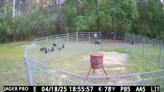  for Havoc Hog Control in Molino, FL