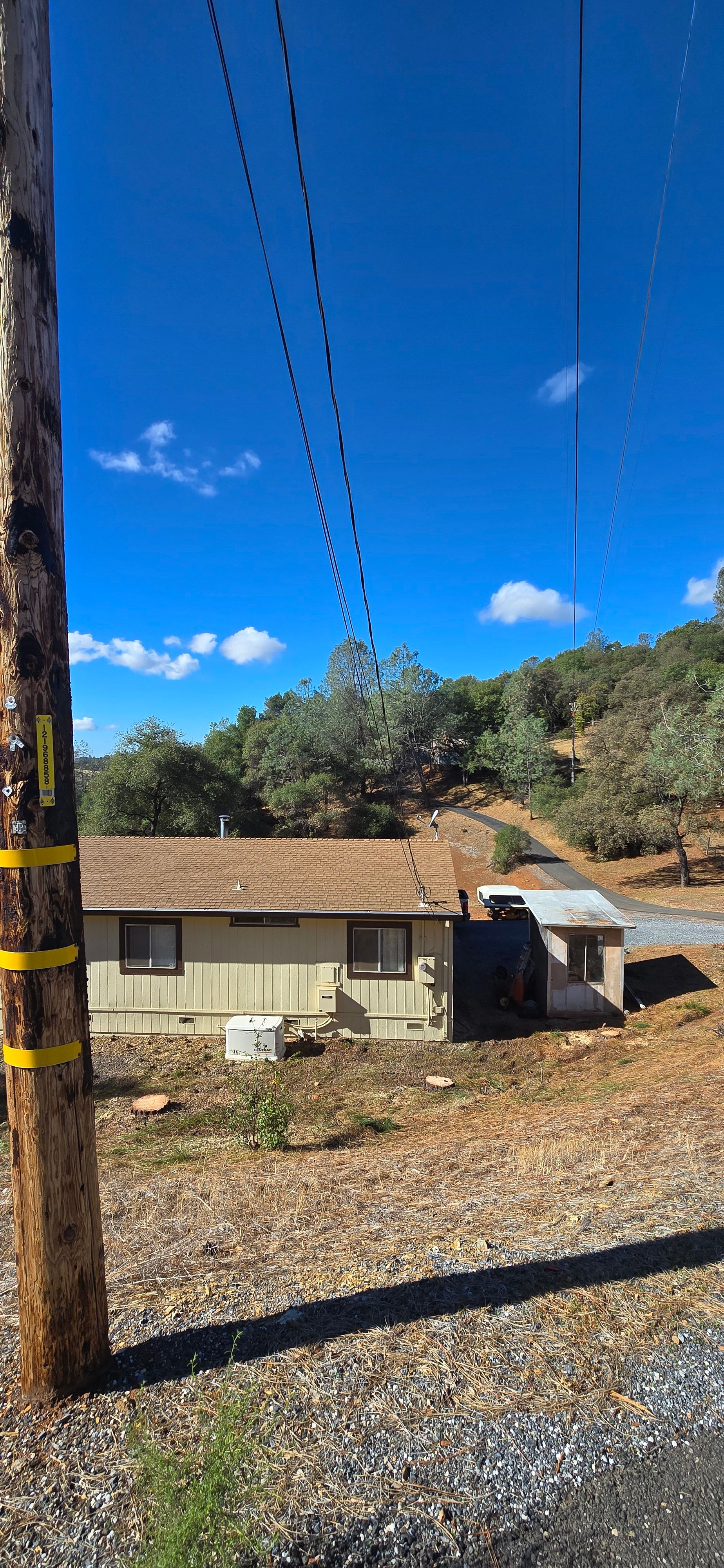  for George Staddan's Professional Tree Care in Placerville, CA