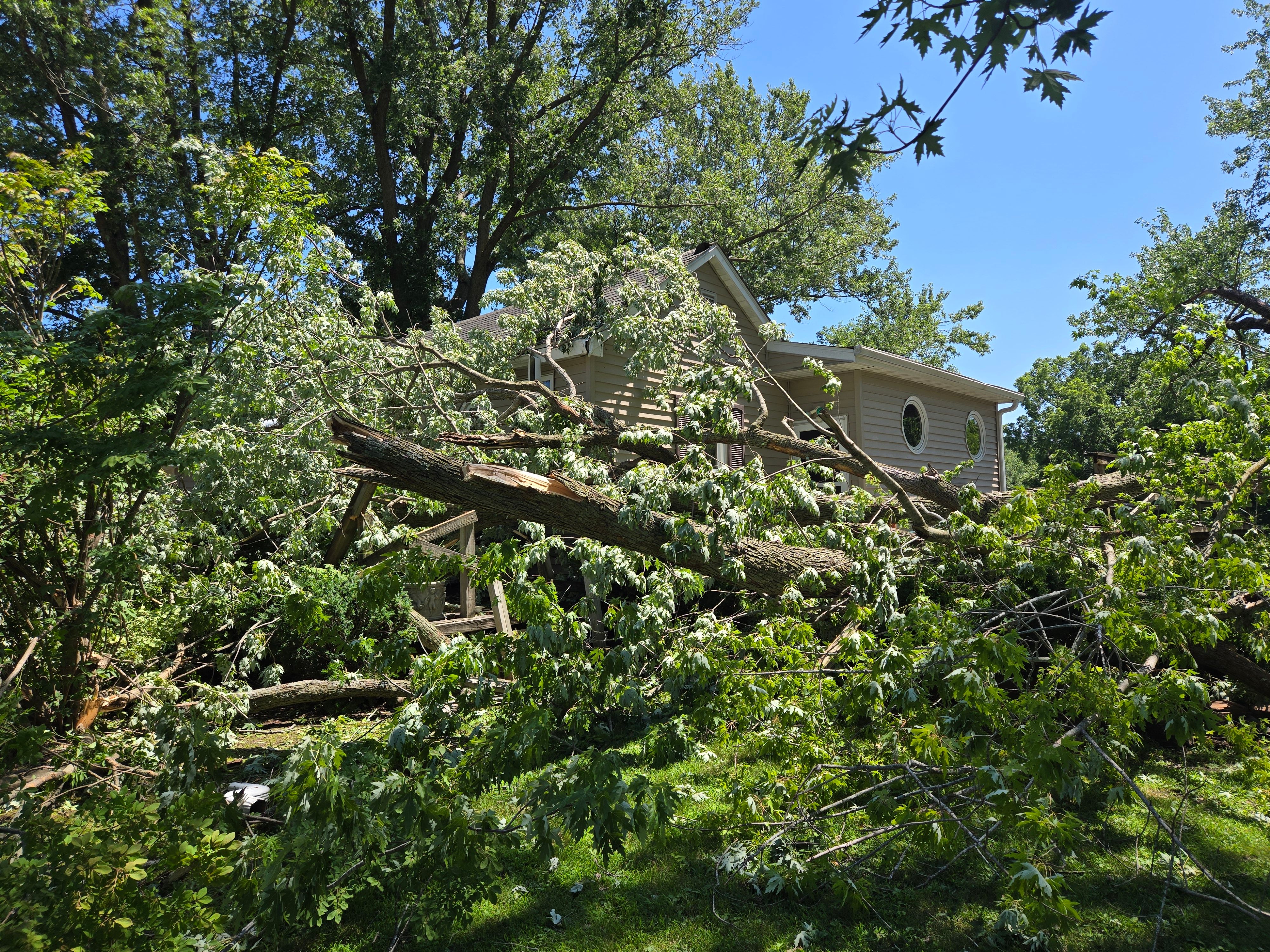  for Lawn Ranger Yard And Tree Service LLC in Ottumwa, IA