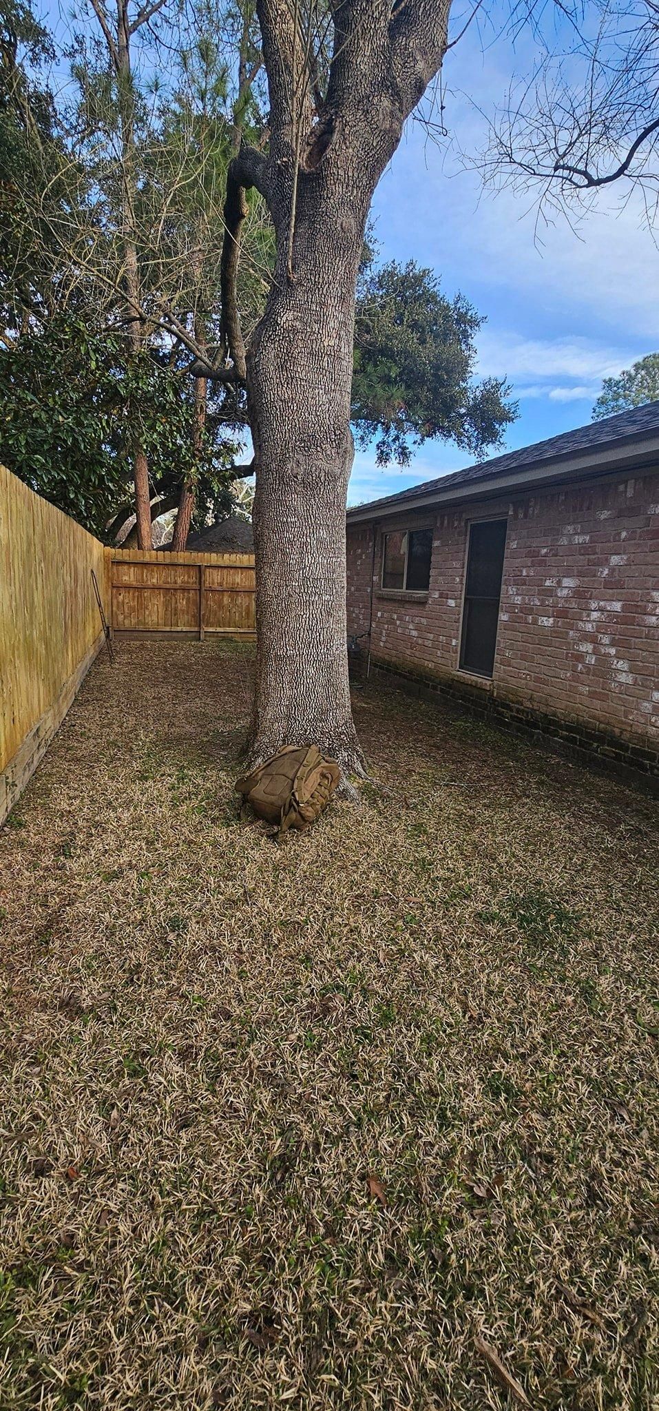  for Servin's Tree Care  in Houston, TX