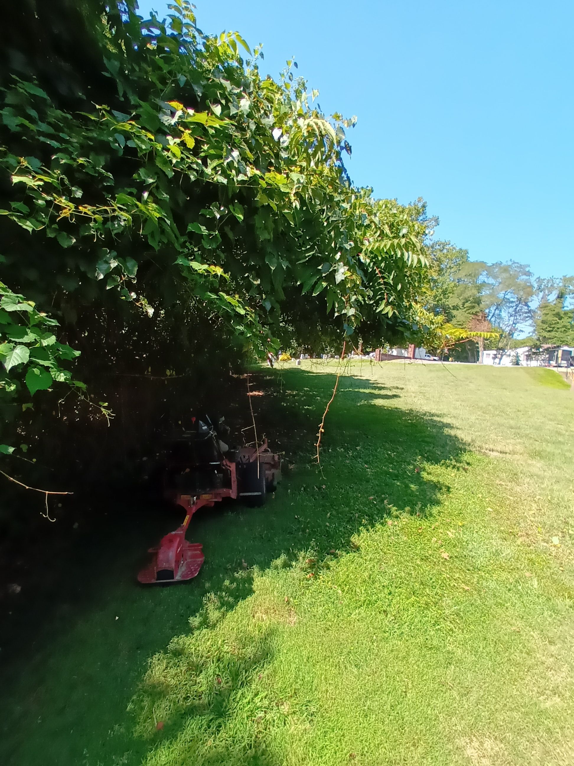  for Sam I AM Property Solutions in Sunderland, MD