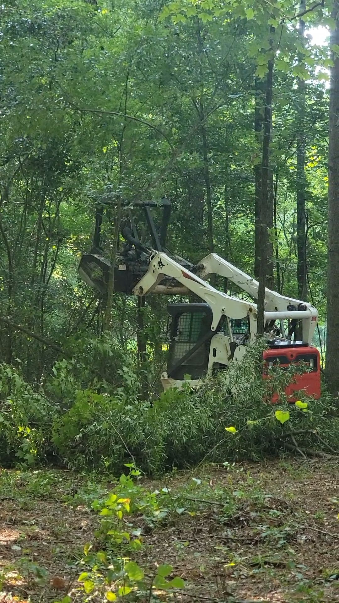  for Z's Land Management & Forestry Mulching in Smithville, TN