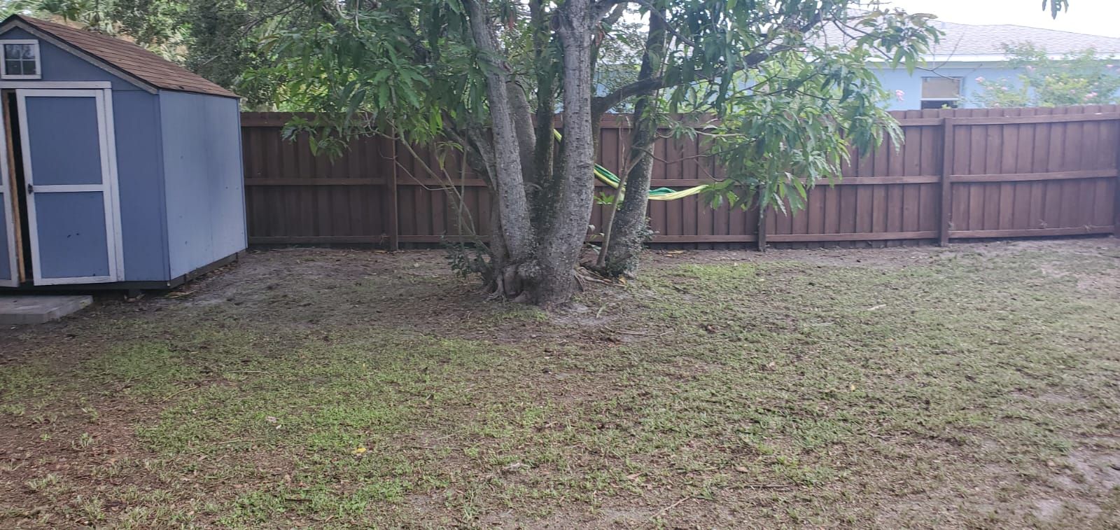  for 1 Friendly Lawn Service in Tampa, FL