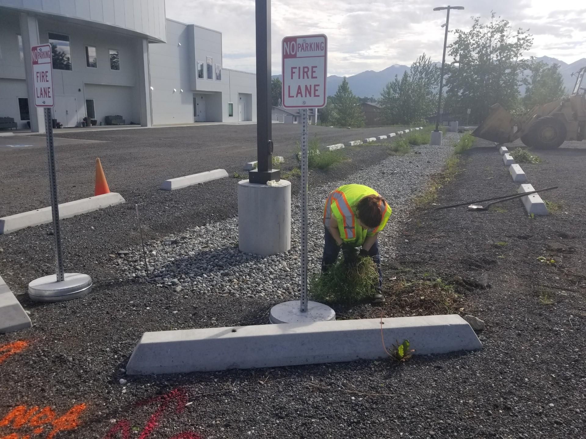  for Total Lawn Care Service in Anchorage, AK