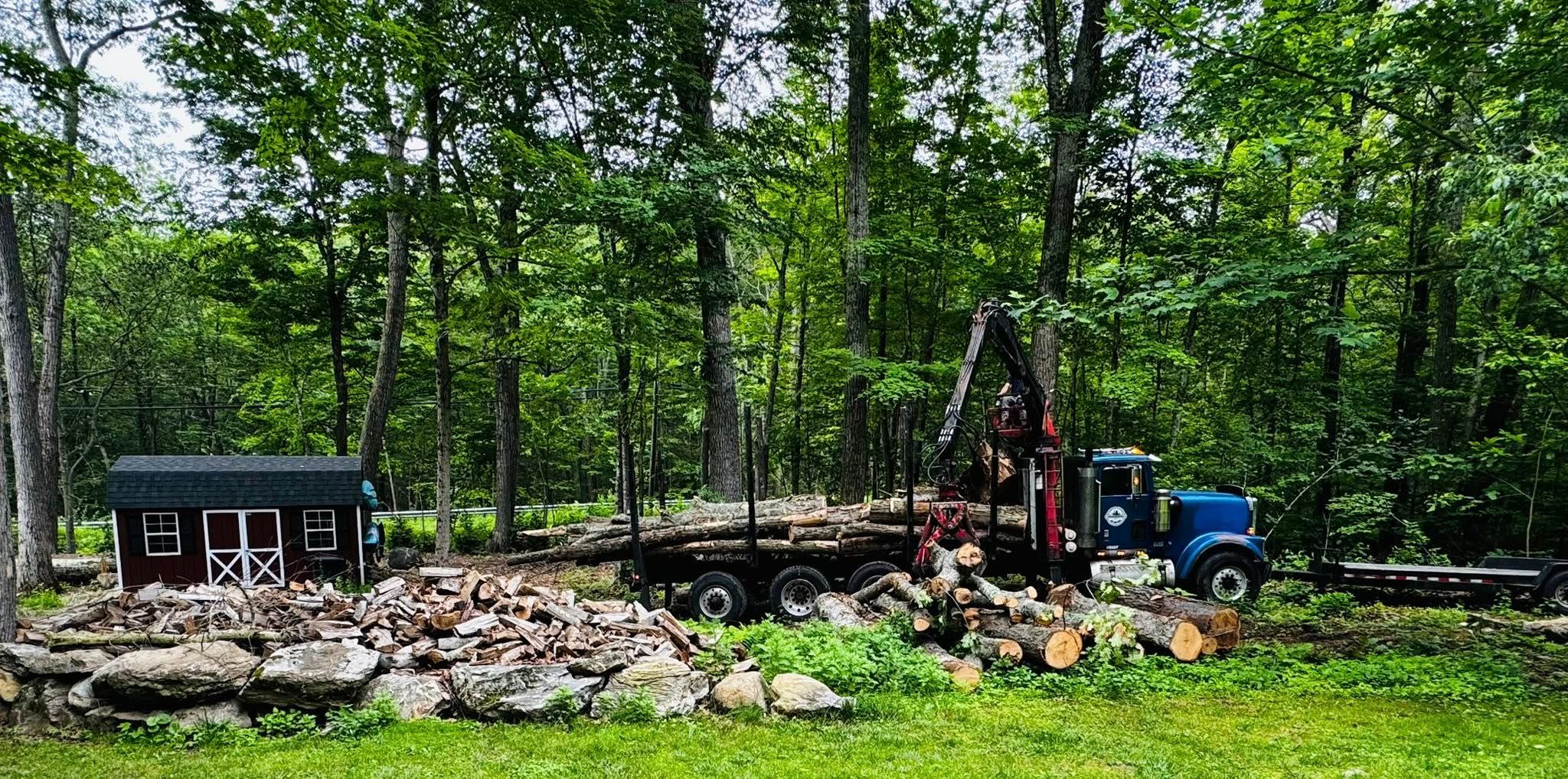  for Davis Services LLC in Bethany, CT