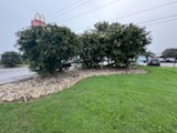  for Thin Green Line Landscaping & More in Laurens, SC