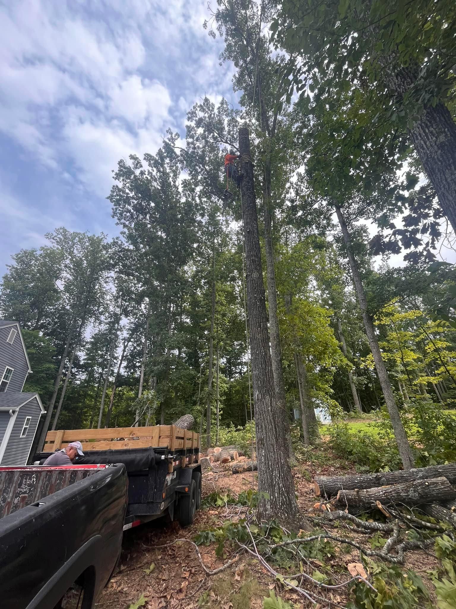  for Ricky's Tree Service & Property Care in Orange, VA