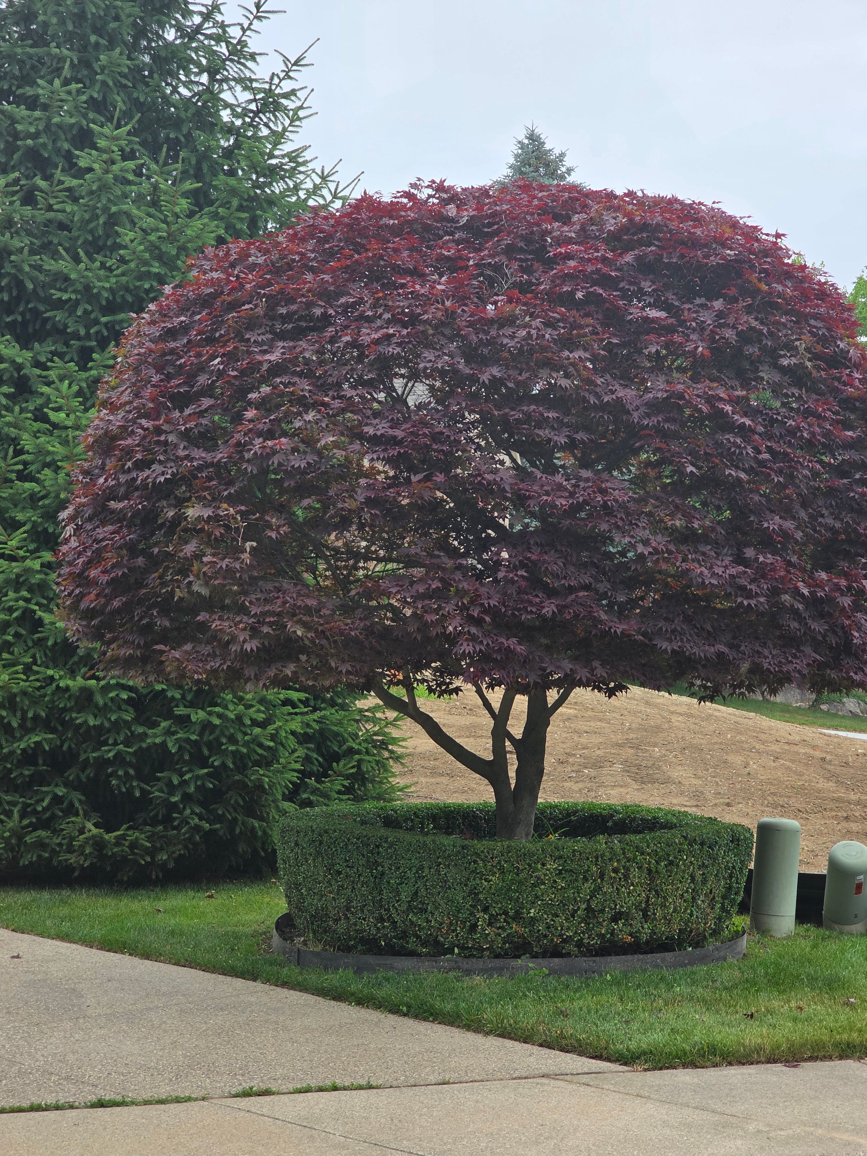  for Ivy Lawn and Landscaping in Oxford, MI