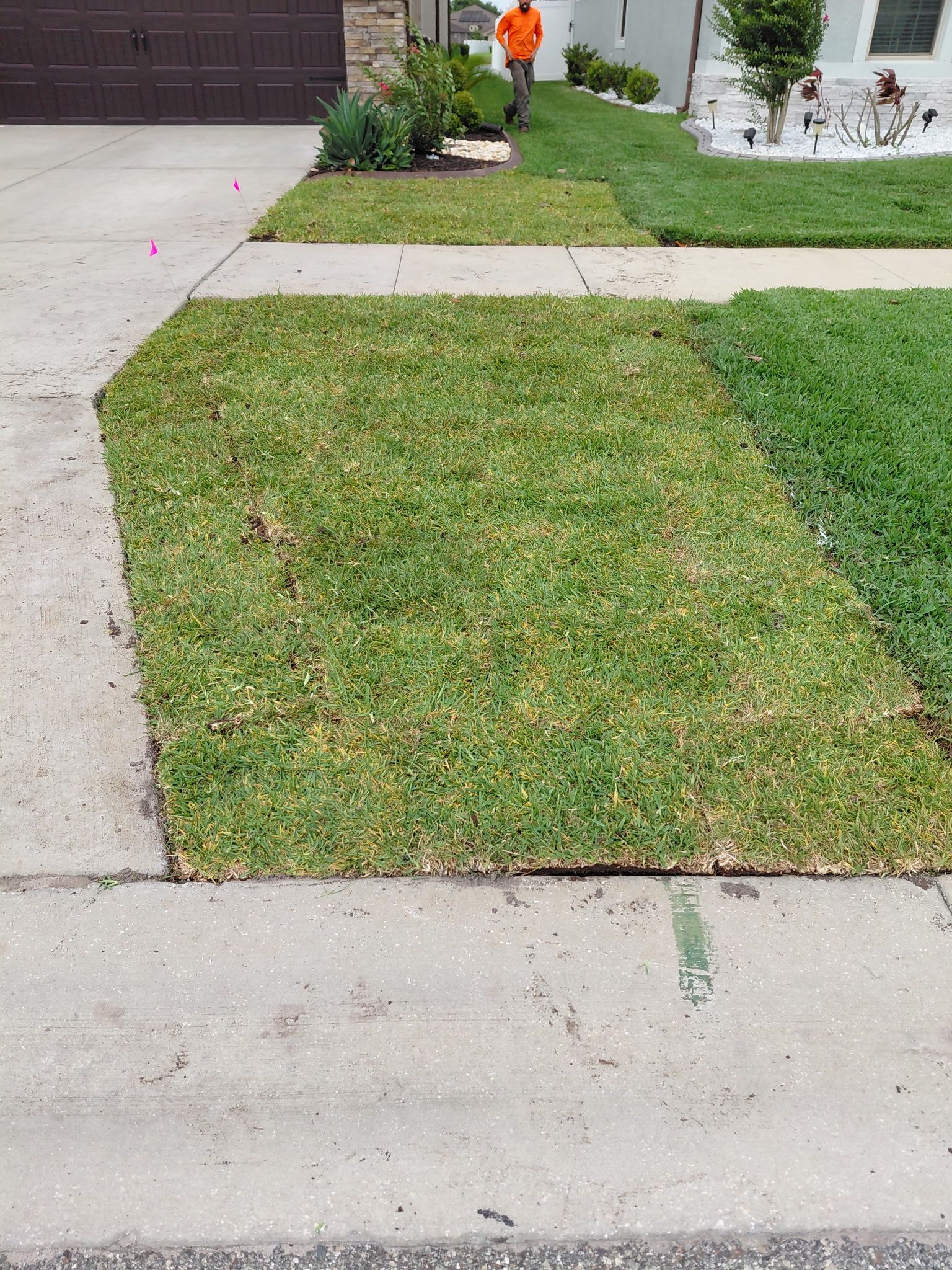  for Gulf Bay Sod in Clearwater, FL