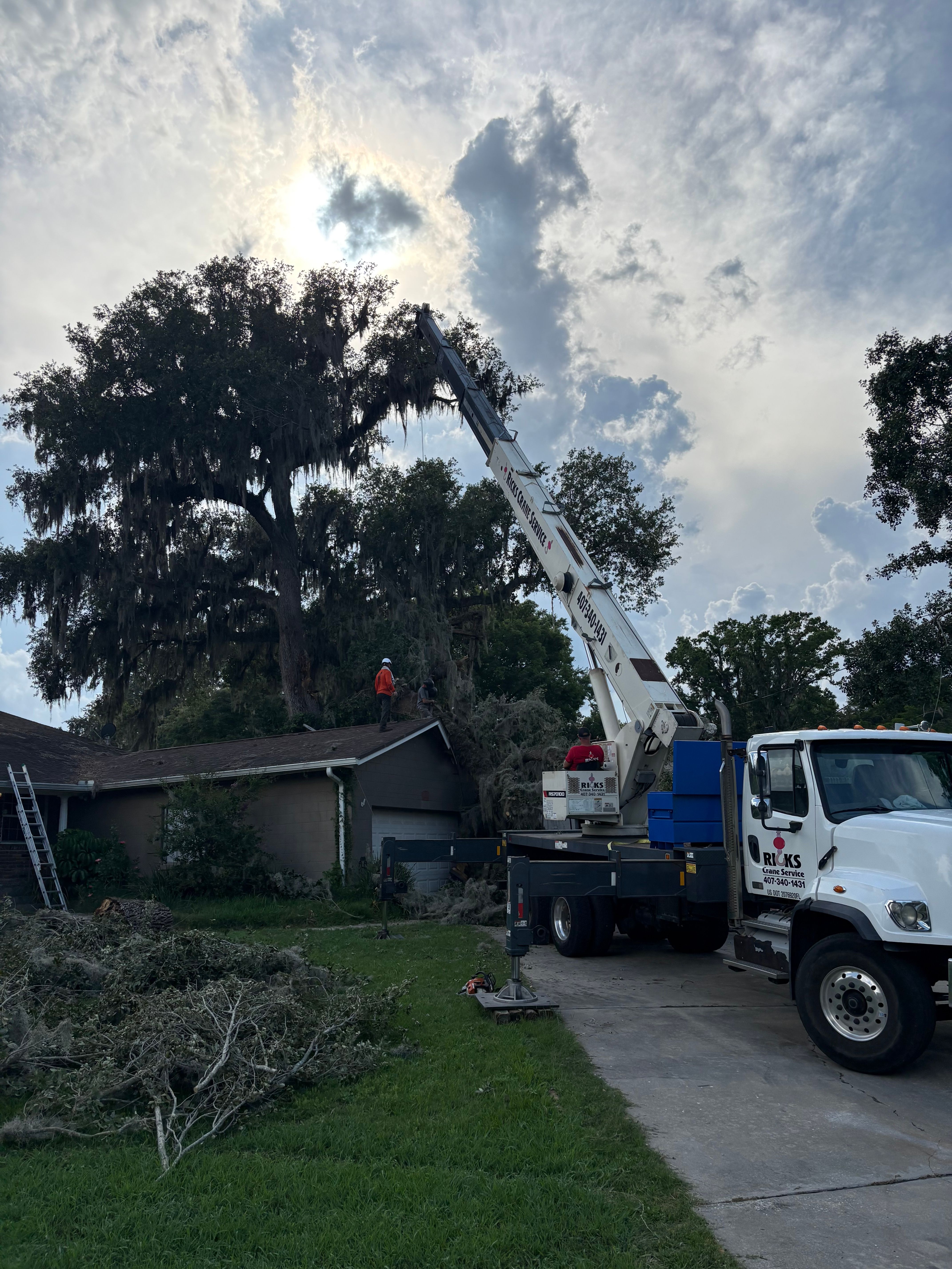  for Amerigrown Tree And Lawn in Apopka, FL