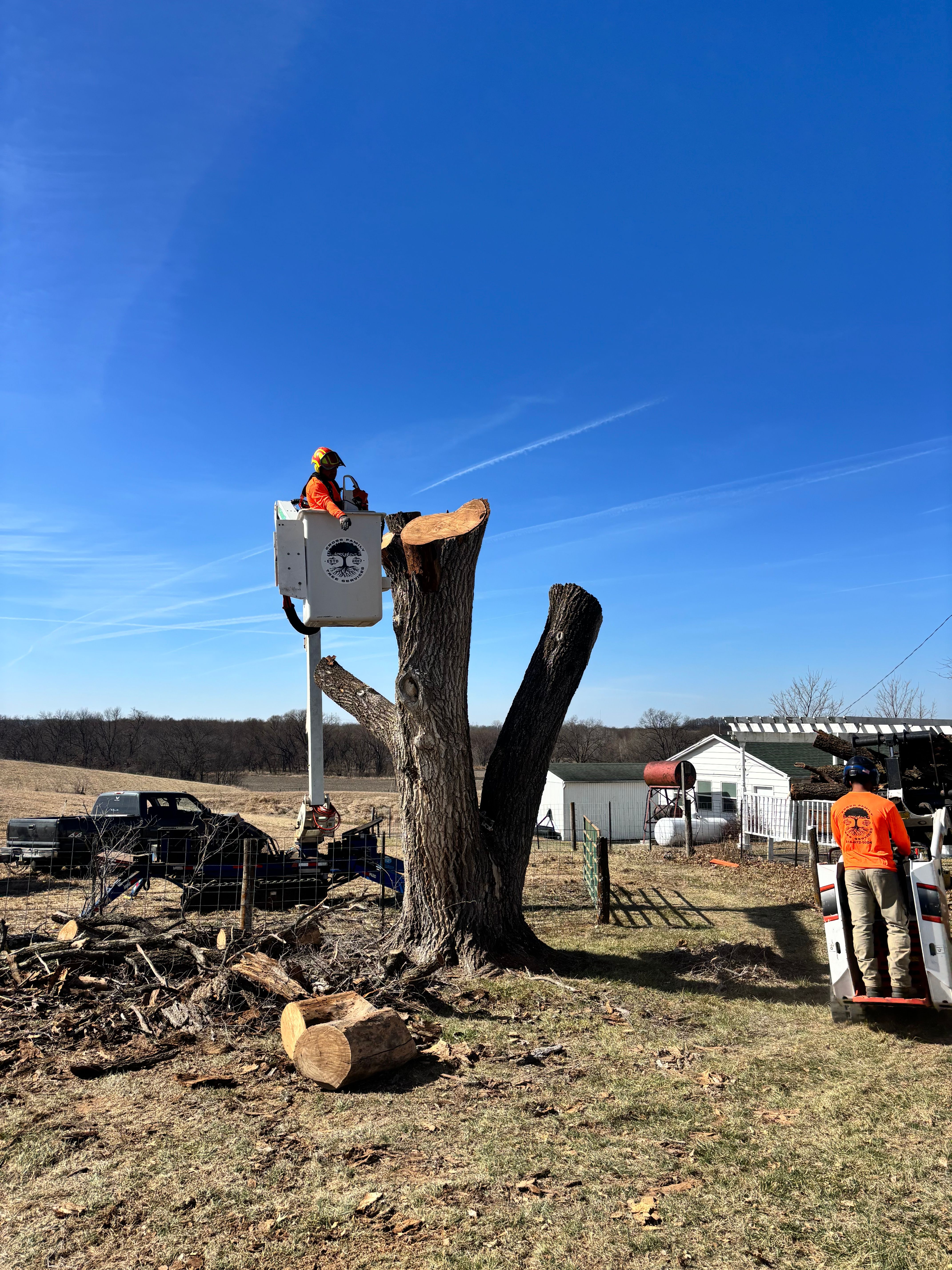 All Photos for Cross Family Tree Service in Kearney, MO