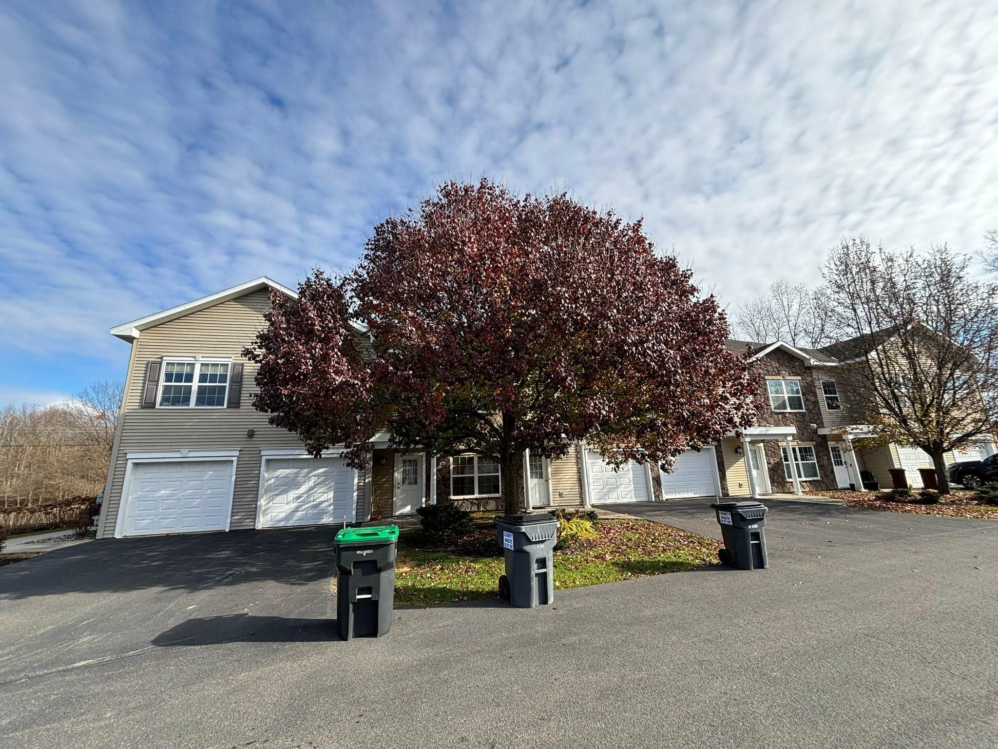  for T's Trees in Albany, NY