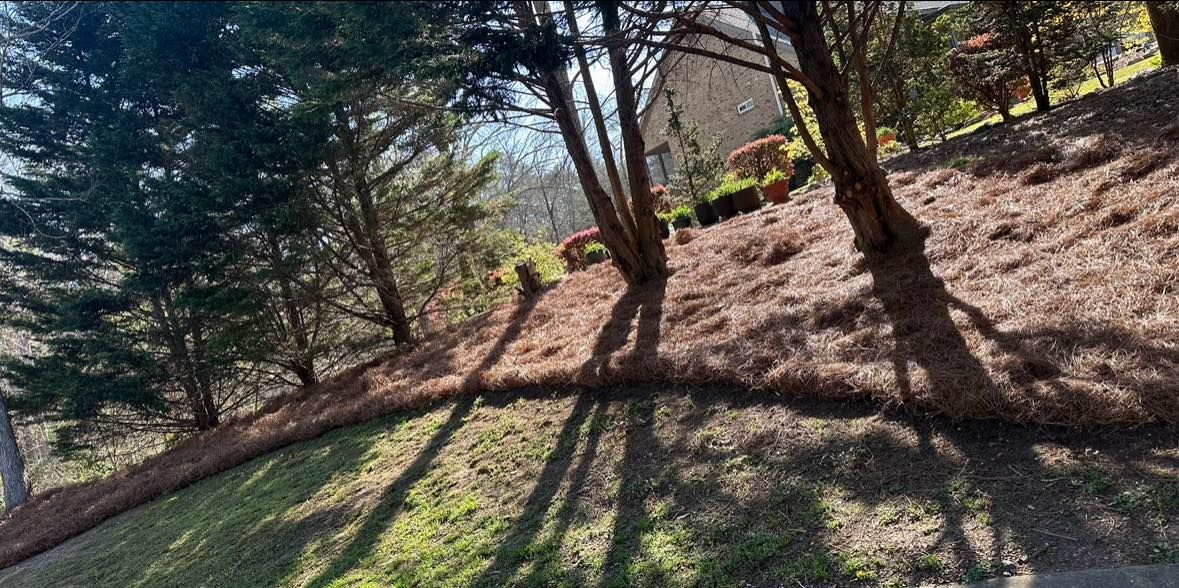  for Brumblebee's Landscaping & Cleaning Services in Loganville, GA