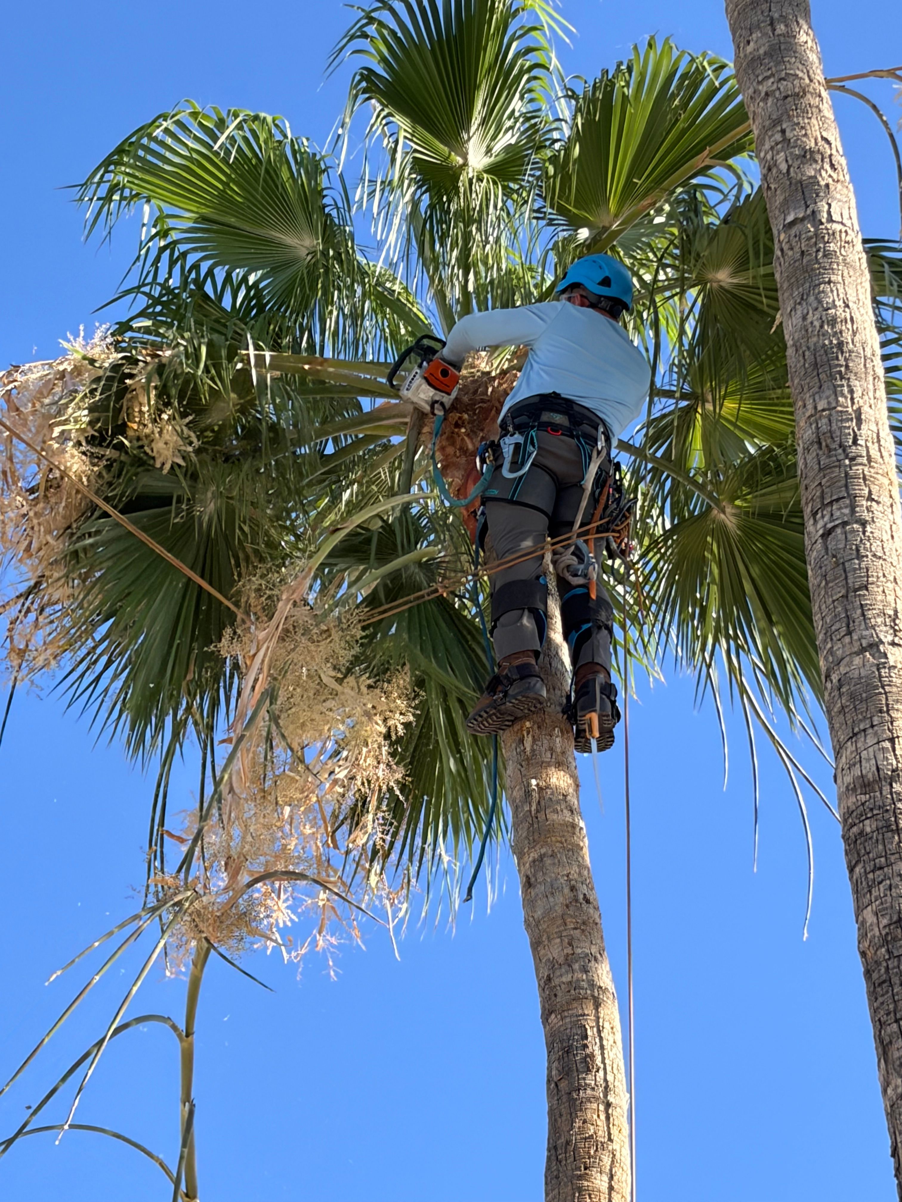  for Copperhead Solution in Phoenix, Arizona