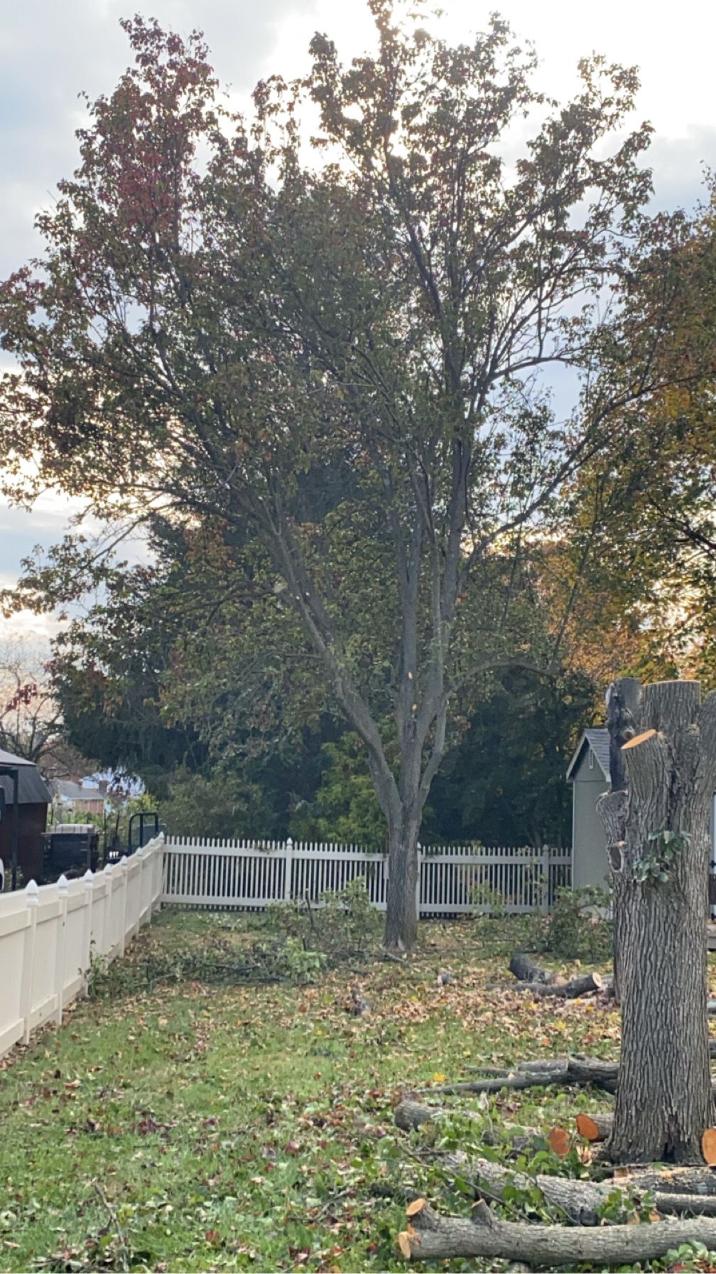 All Photos for Gray's Tree Service  in Shenandoah County, VA