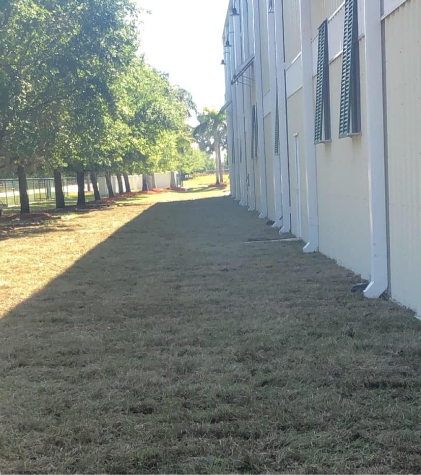 Sodding for Sunshine Sod & More Inc. in Arcadia, FL