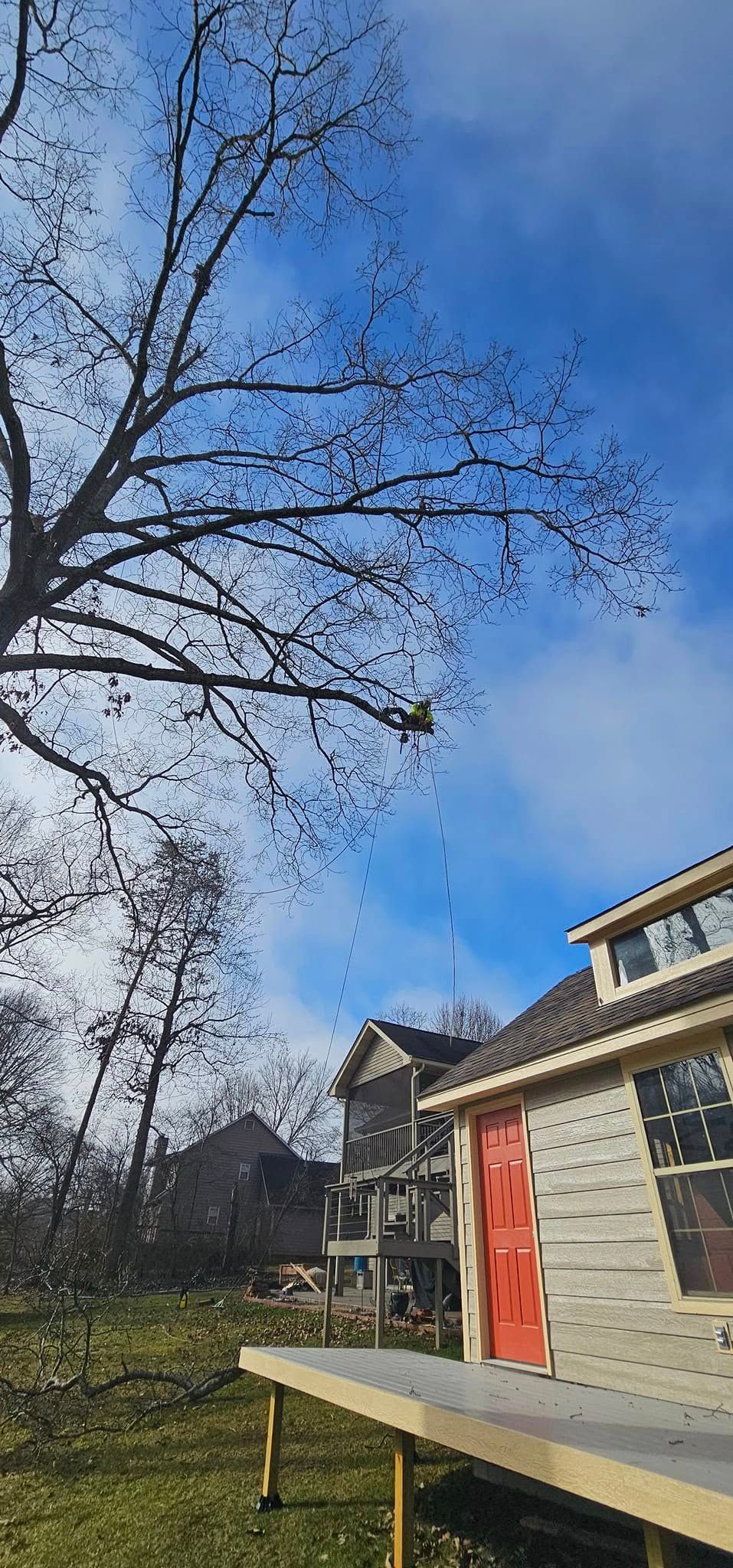  for Reagan & Sons Tree Service in Dandridge, TN