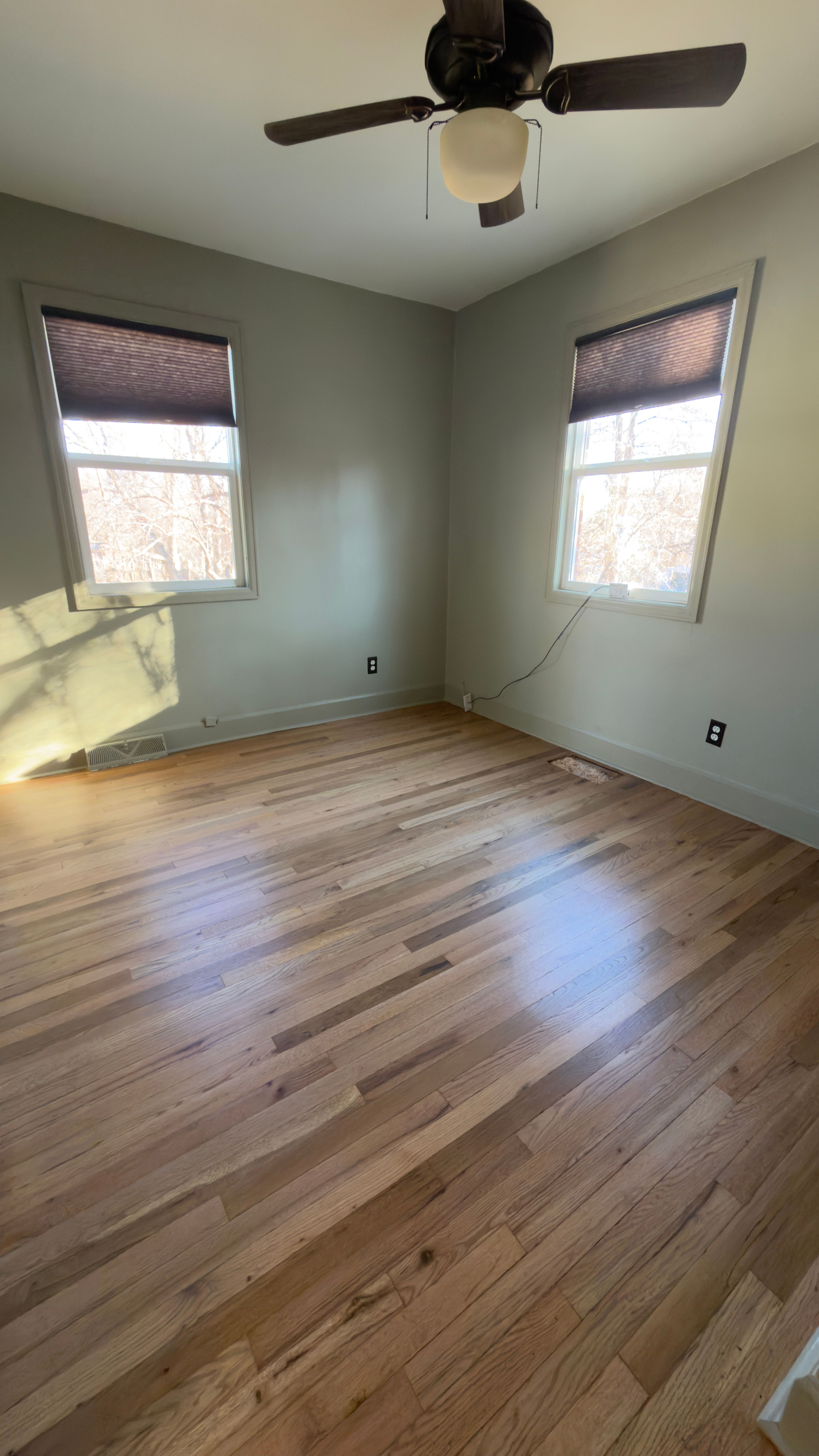  for Alpha Flooring & Painting Services. in Centennial, CO