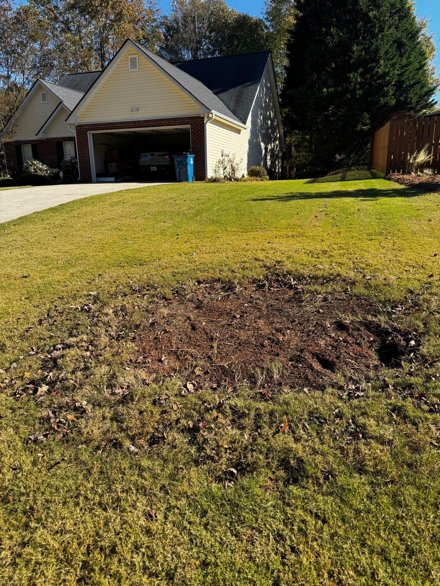  for Deeply Rooted Lawns – Hydroseeding & Sod Installation Services in Winder, GA