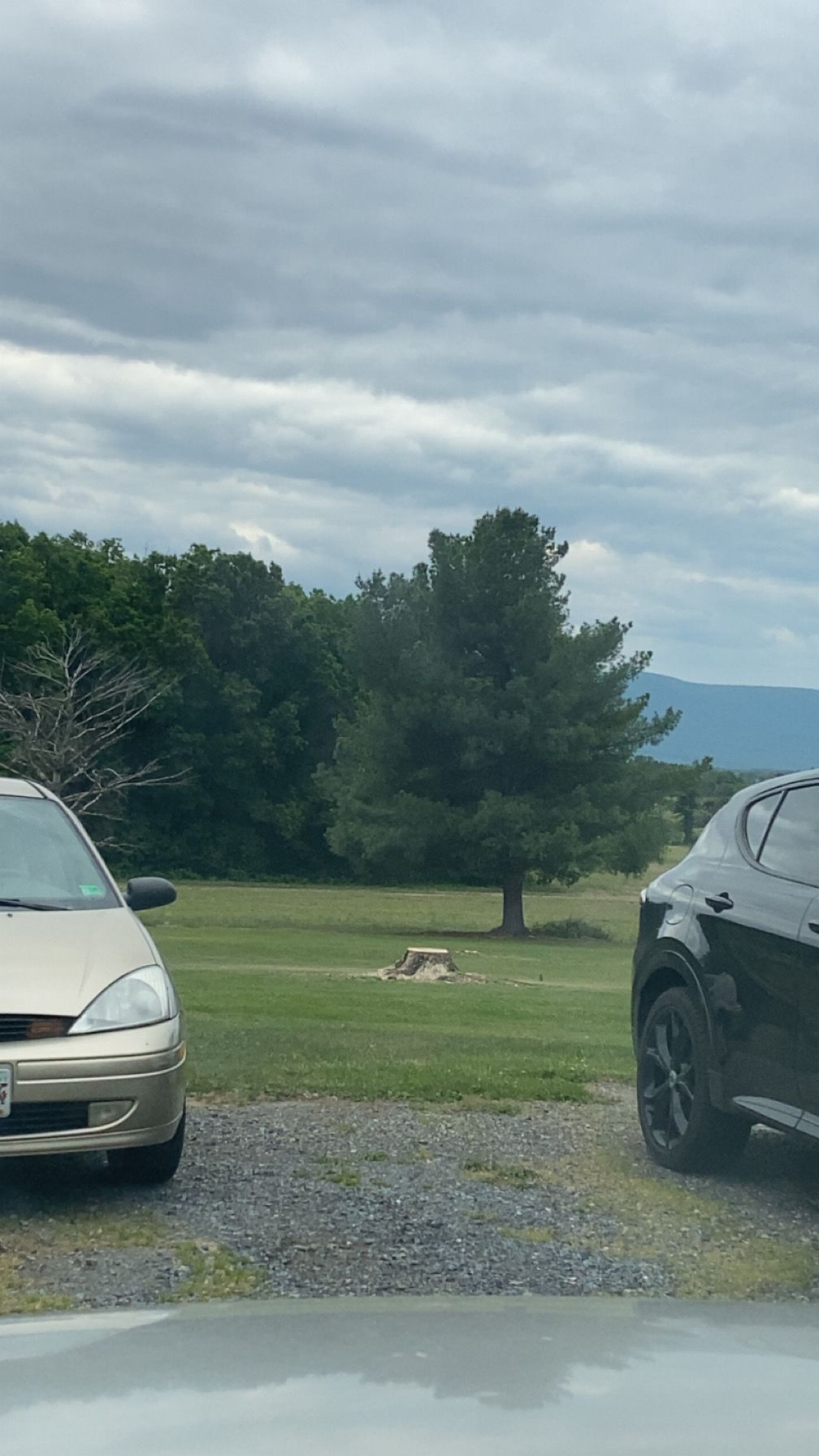 All Photos for Gray's Tree Service  in Shenandoah County, VA