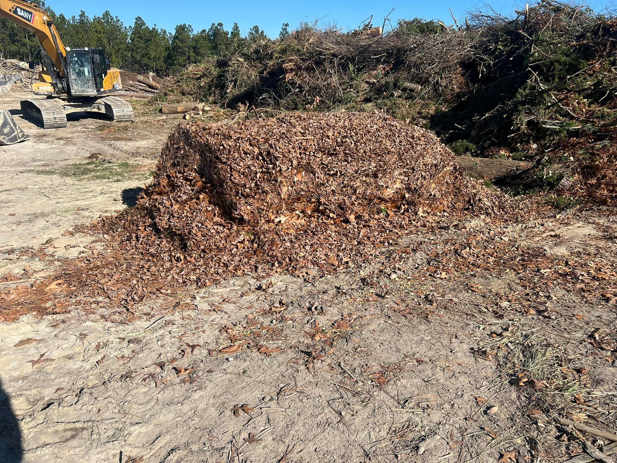  for Shang's Landscaping Service in Columbia, South Carolina