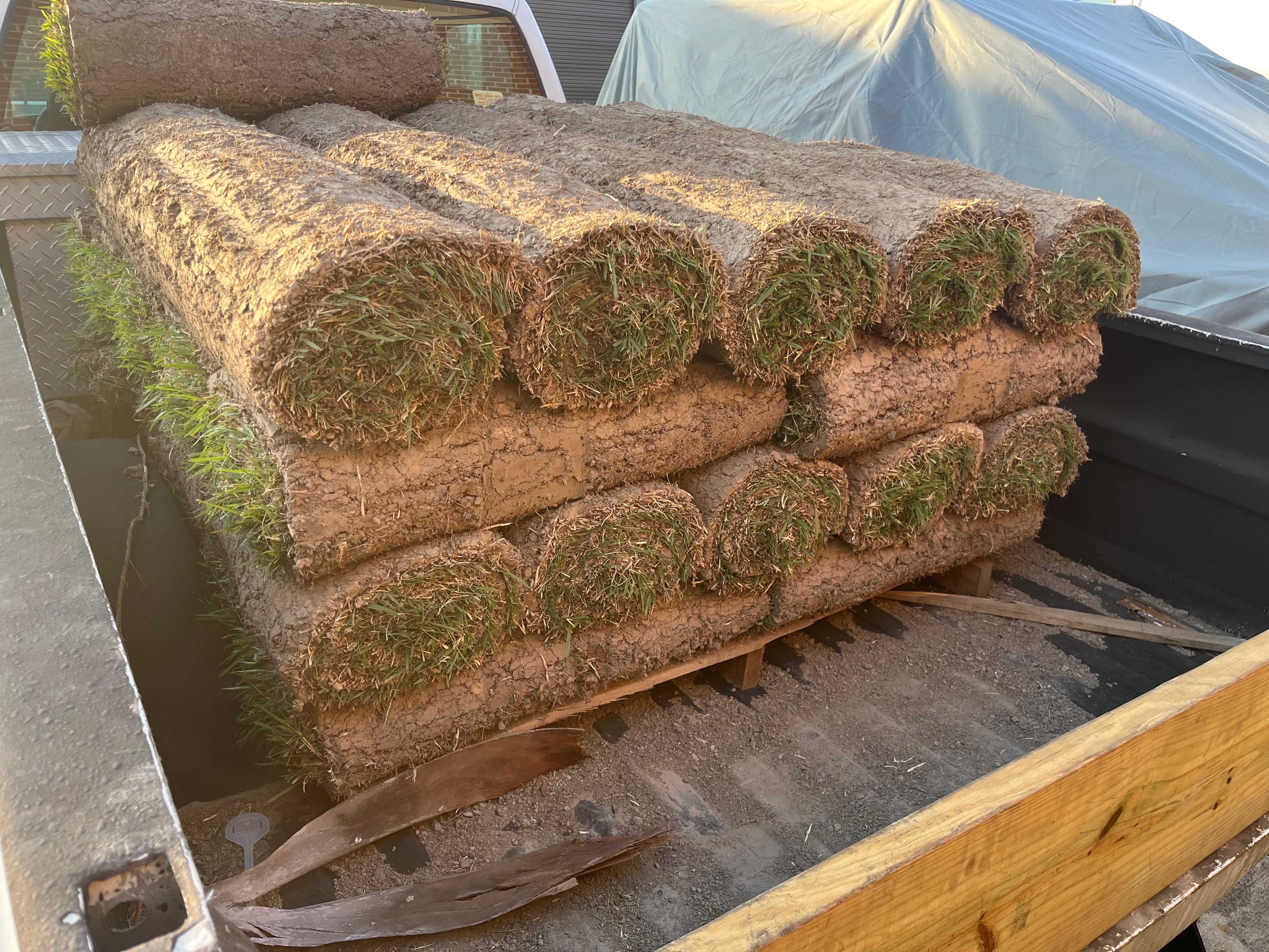  for New Creation Lawn and Landscape in Myrtle Beach, SC