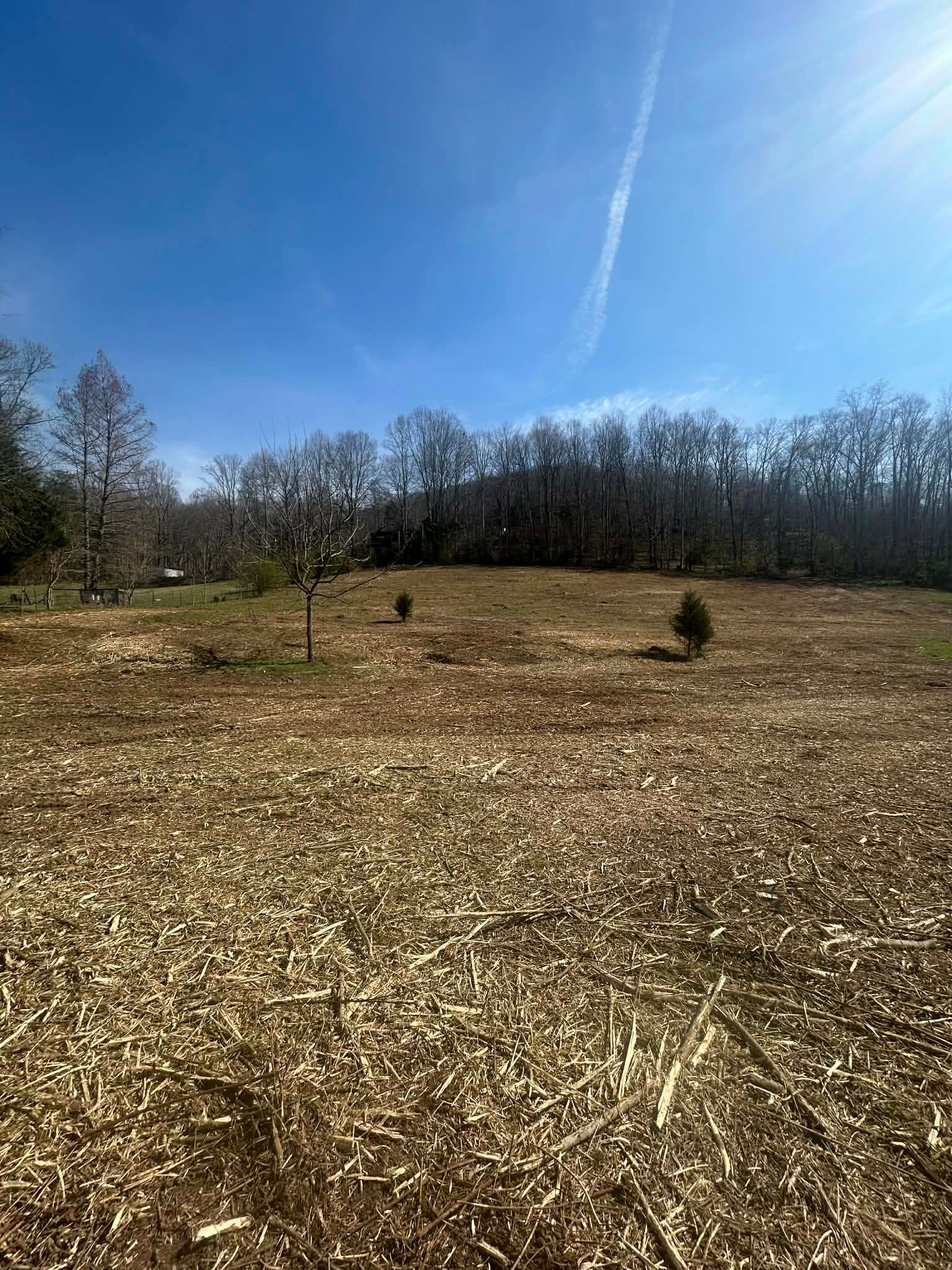  for Z's Land Management & Forestry Mulching in Smithville, TN
