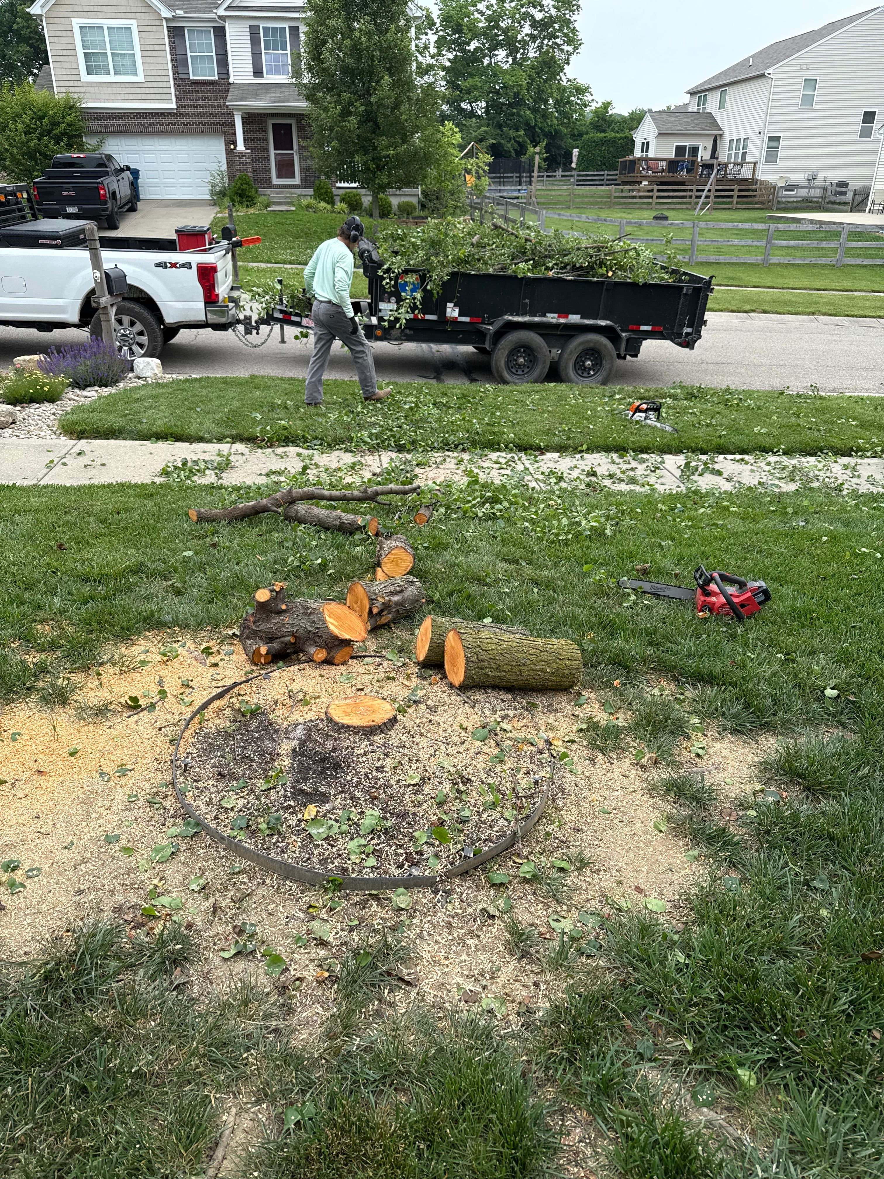  for Woolf Outdoor Services in Mason, OH