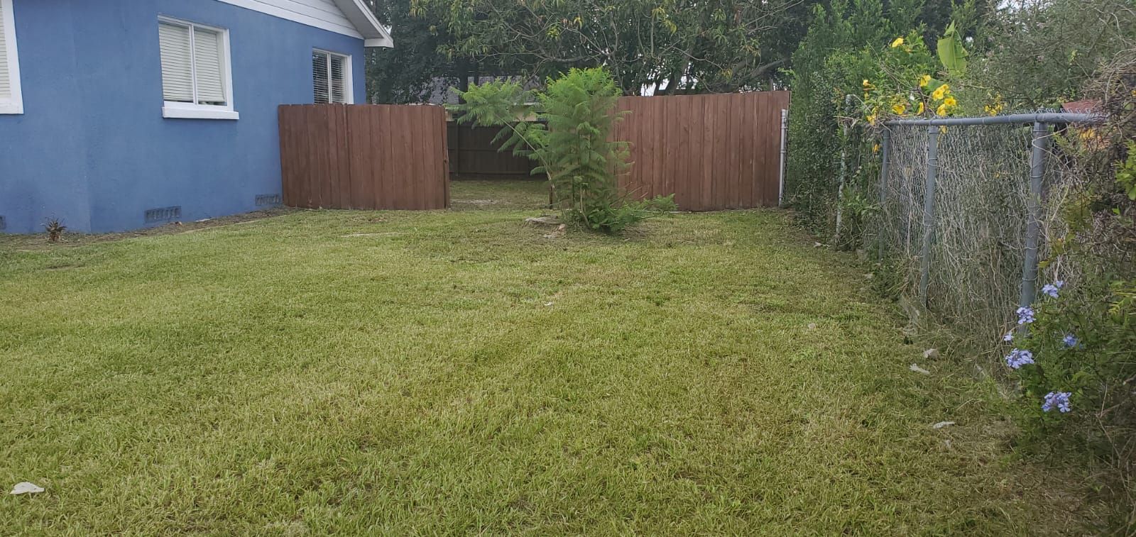  for 1 Friendly Lawn Service in Tampa, FL