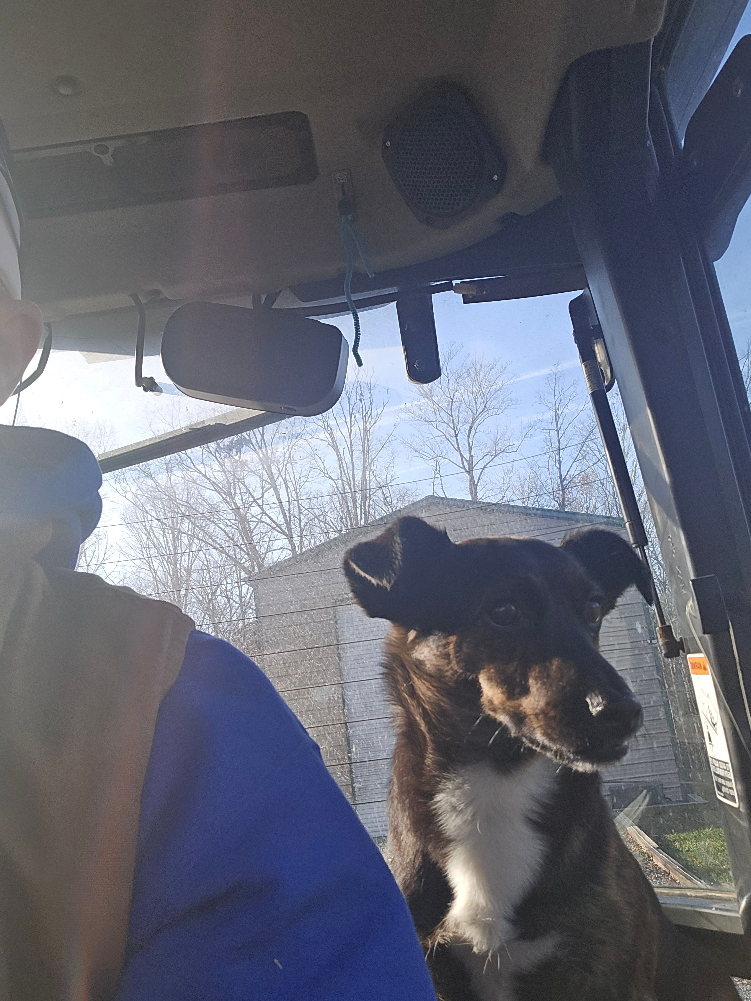  for Lakeside Landscaping  in Gordonsville, VA
