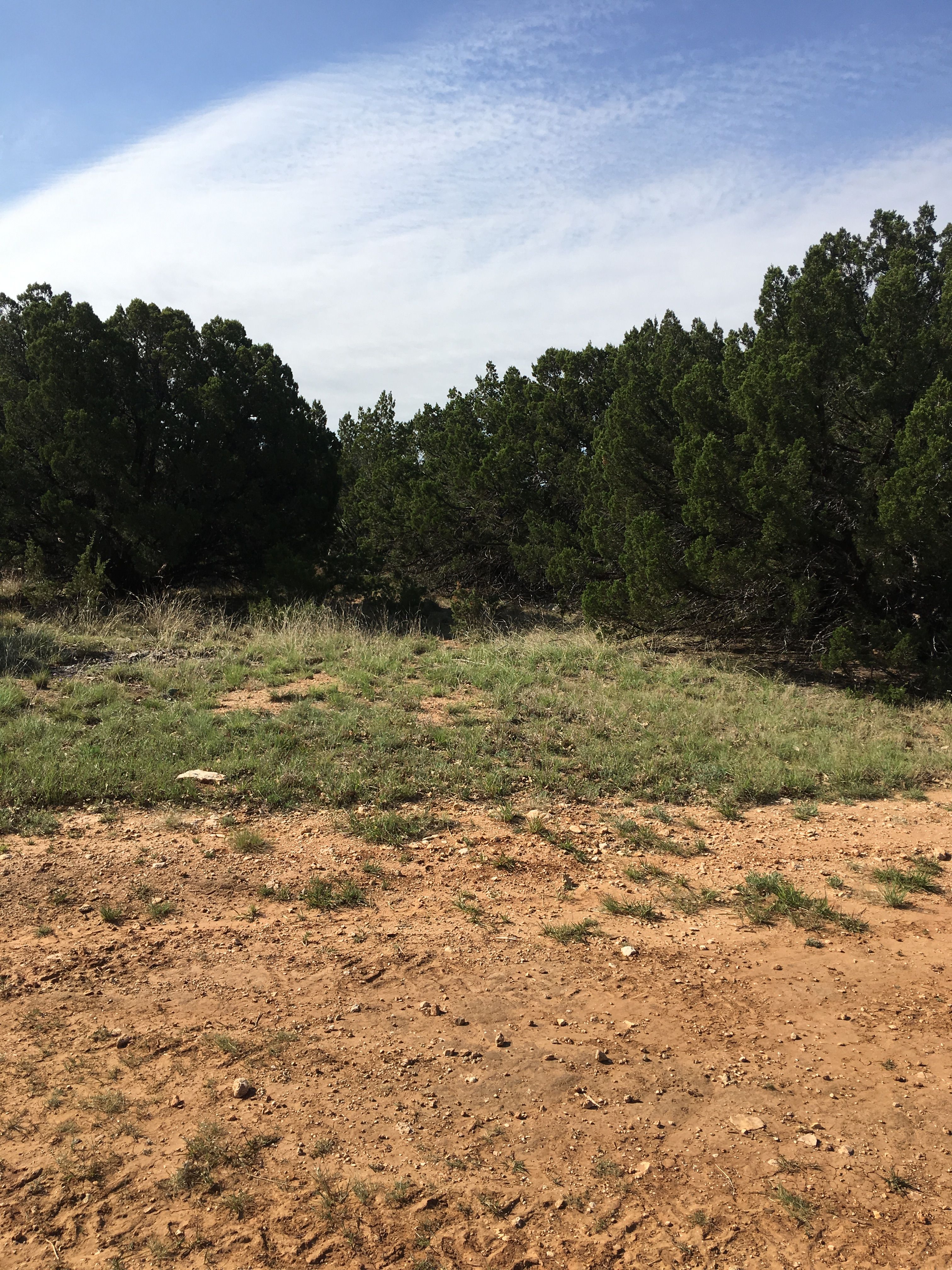  for Elite Horizons in Abilene, TX