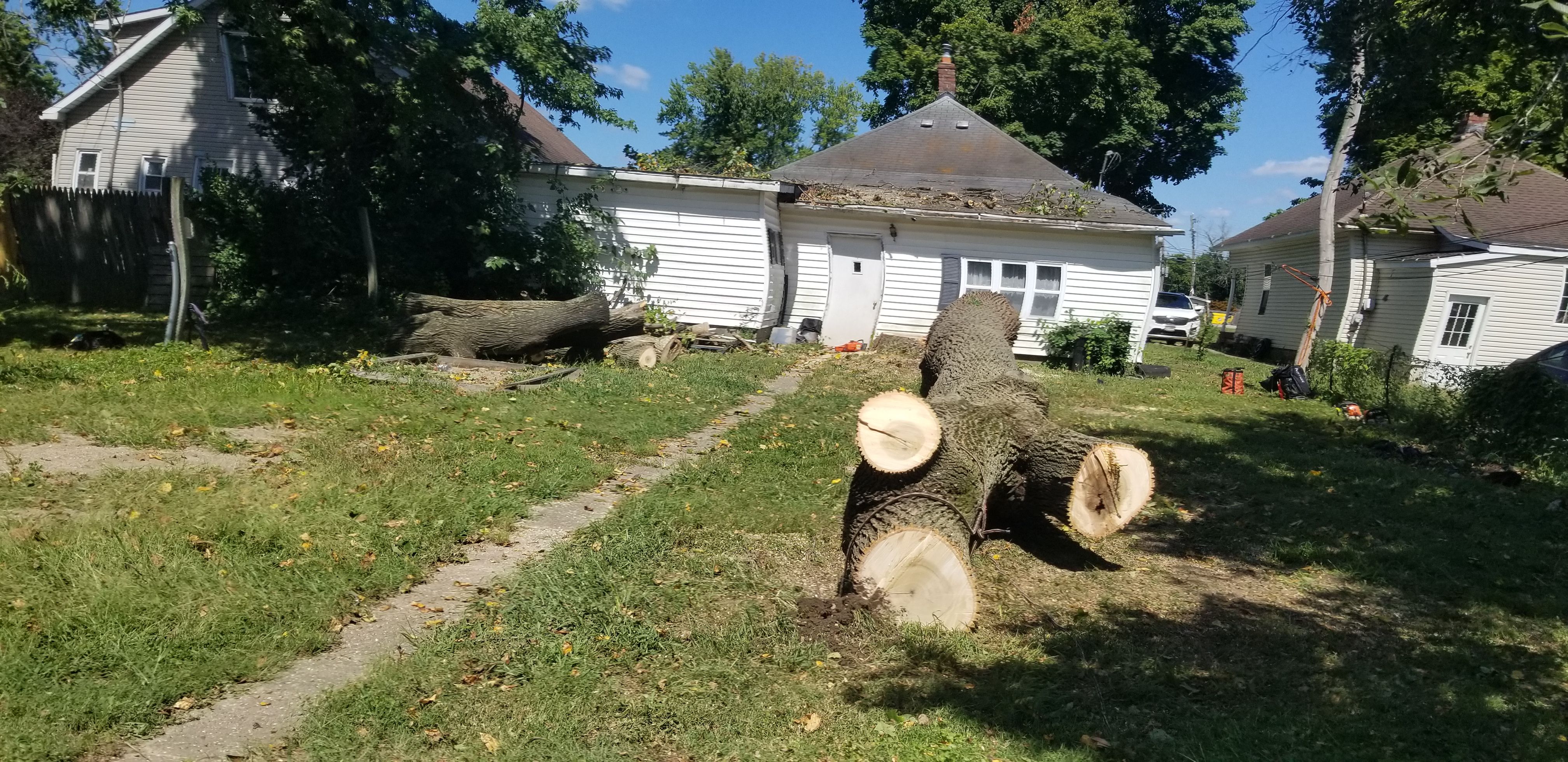 All Photos for Advanced Tree Solutions in Rockville, IN