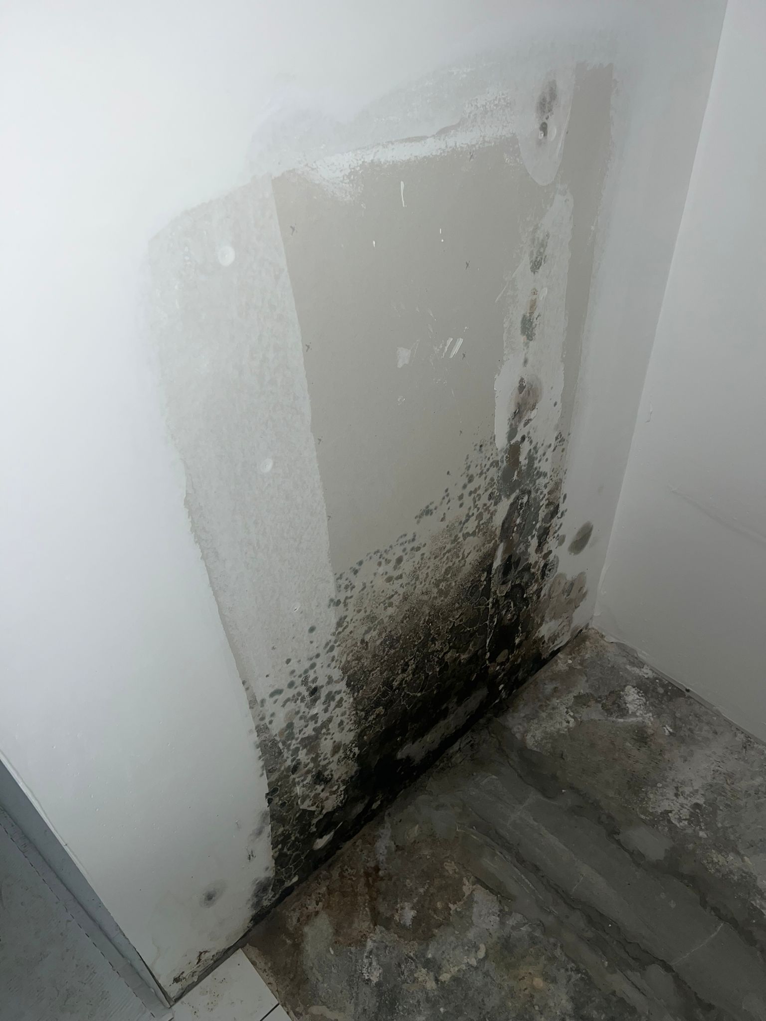  for N&D Restoration Services When Disaster Strikes, We Come In in Cape Coral,  FL