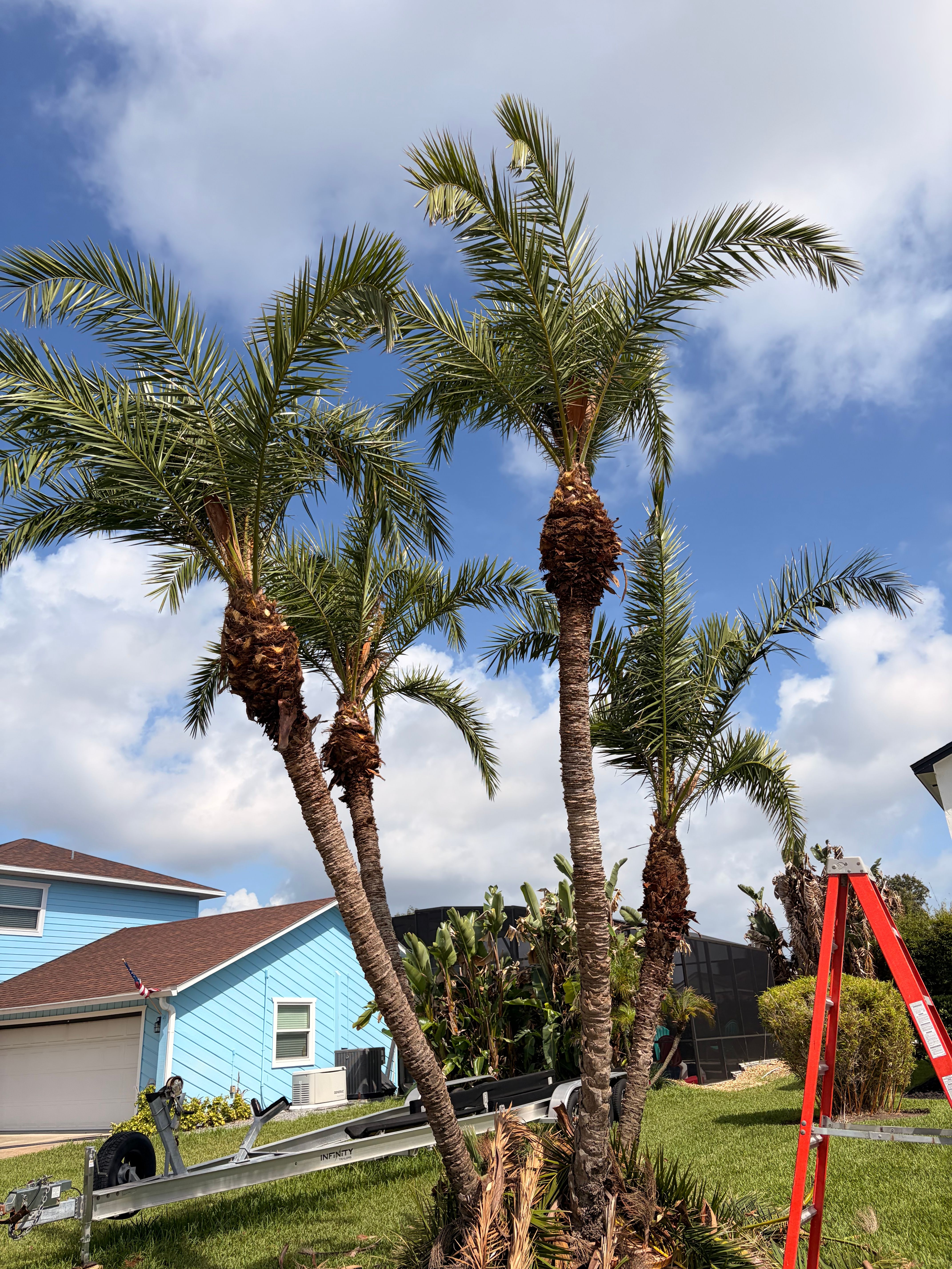  for Vanic's Landscaping in Port Orange, FL